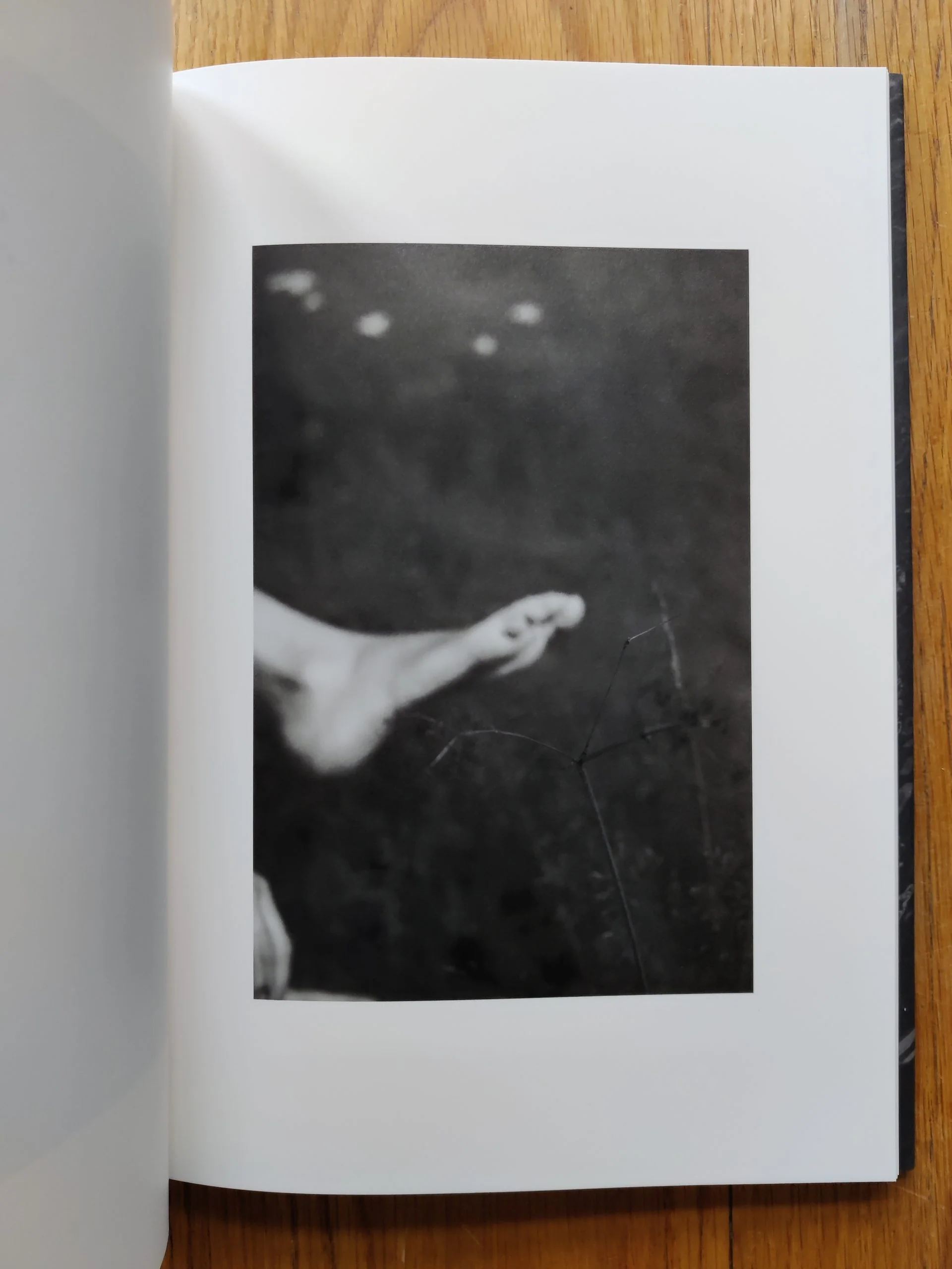 ELV - Image 4