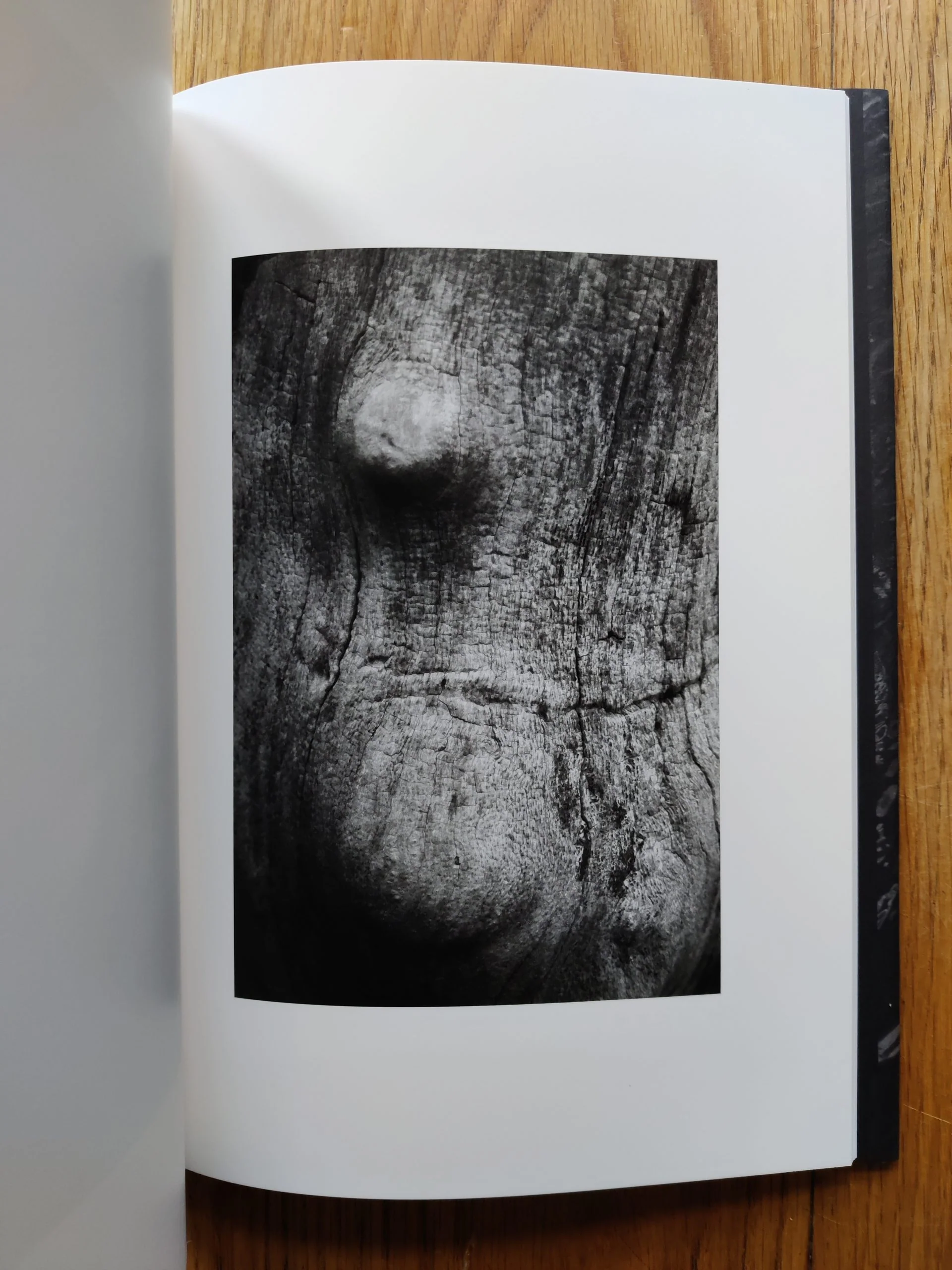 ELV - Image 8
