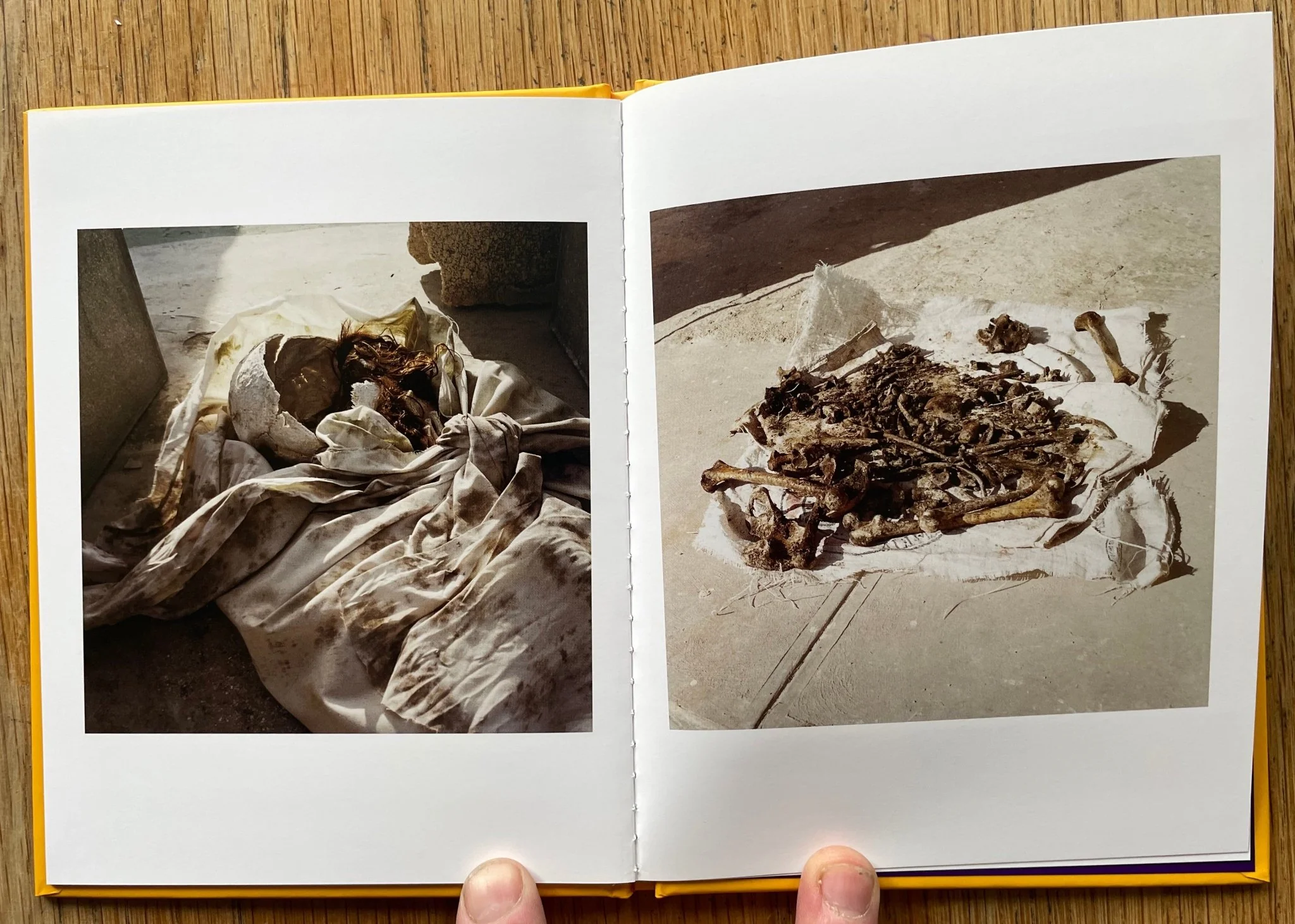 En Vista (One Picture Book) - Image 4