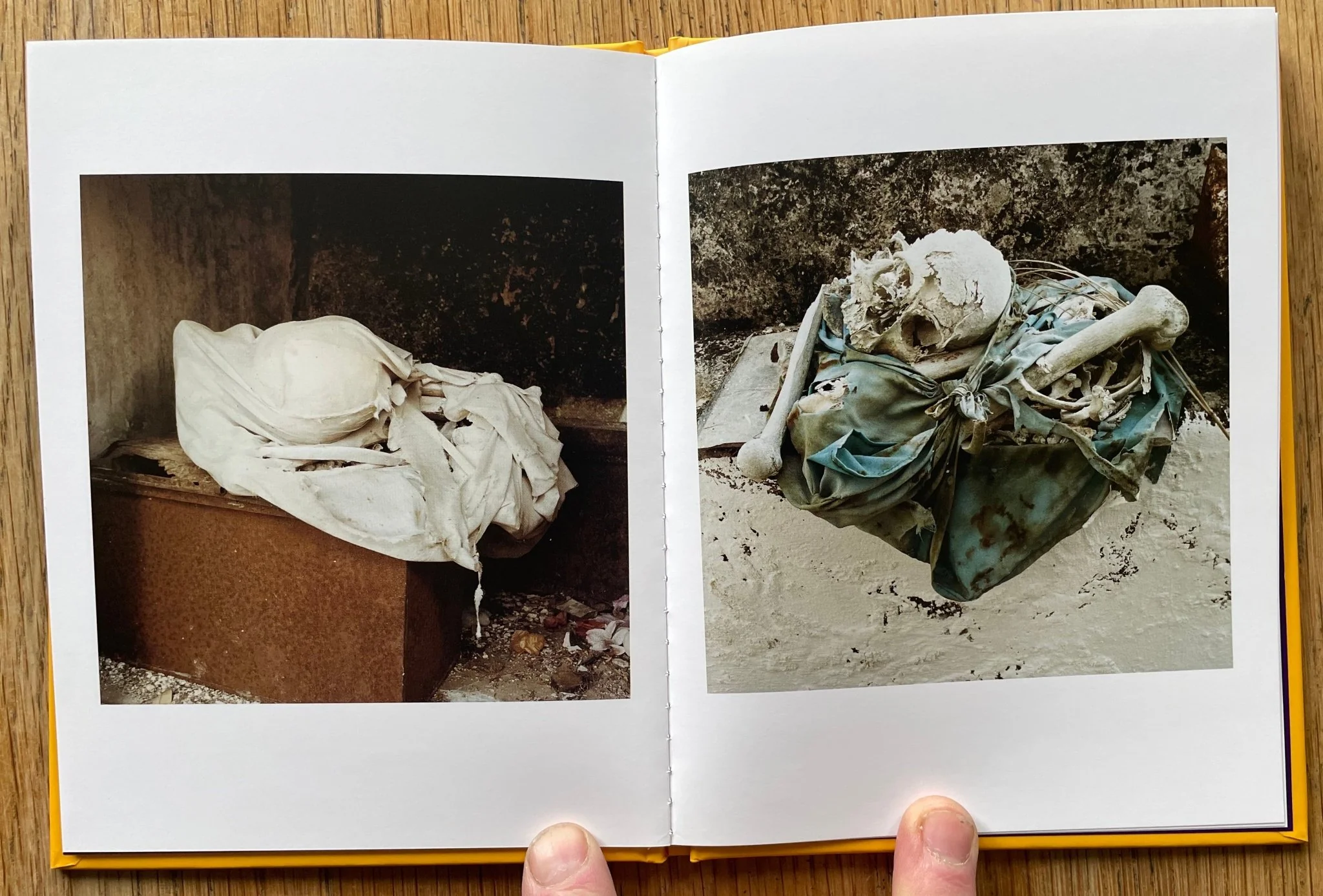 En Vista (One Picture Book) - Image 5