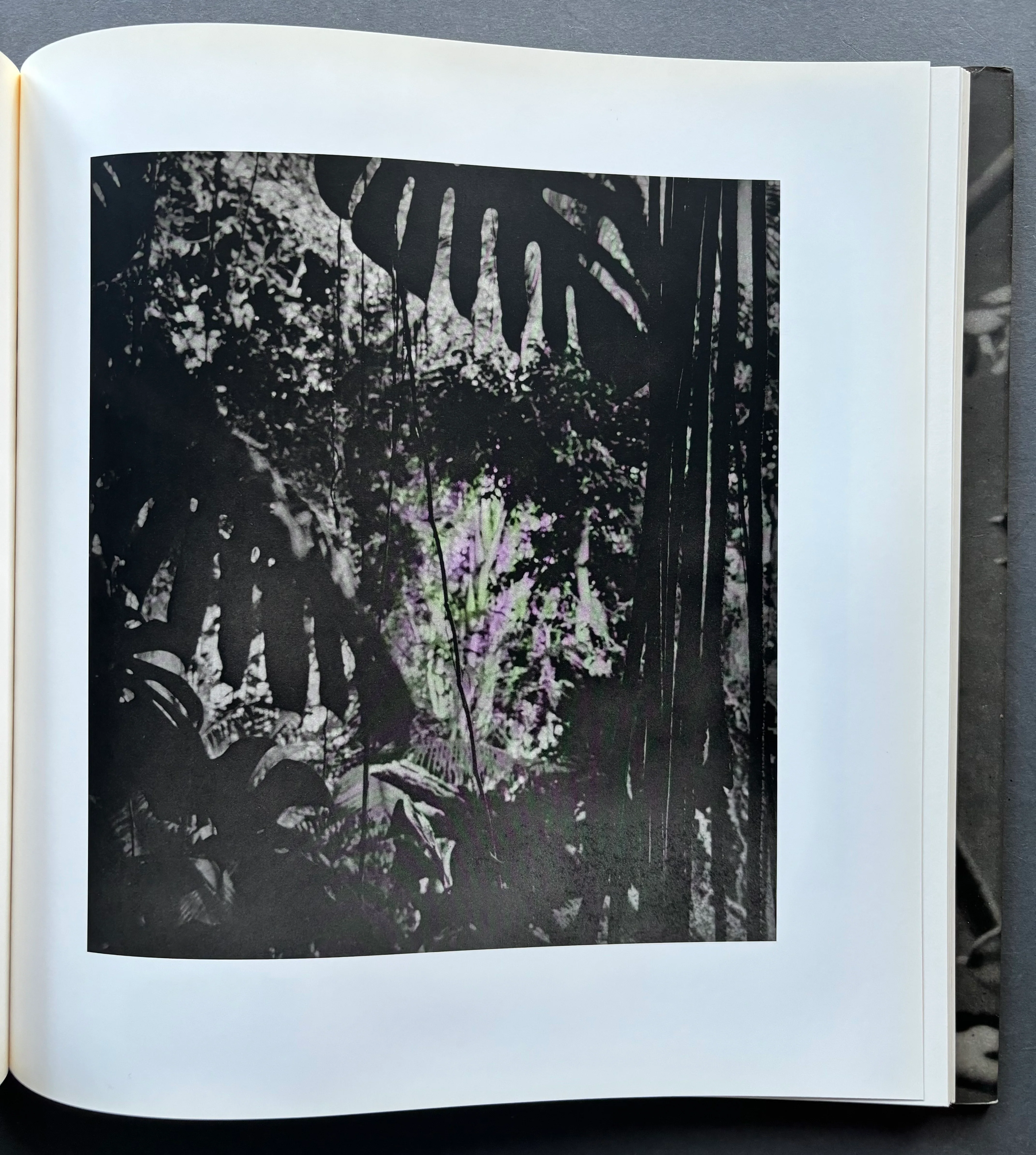 Entrada Drive - Image 6