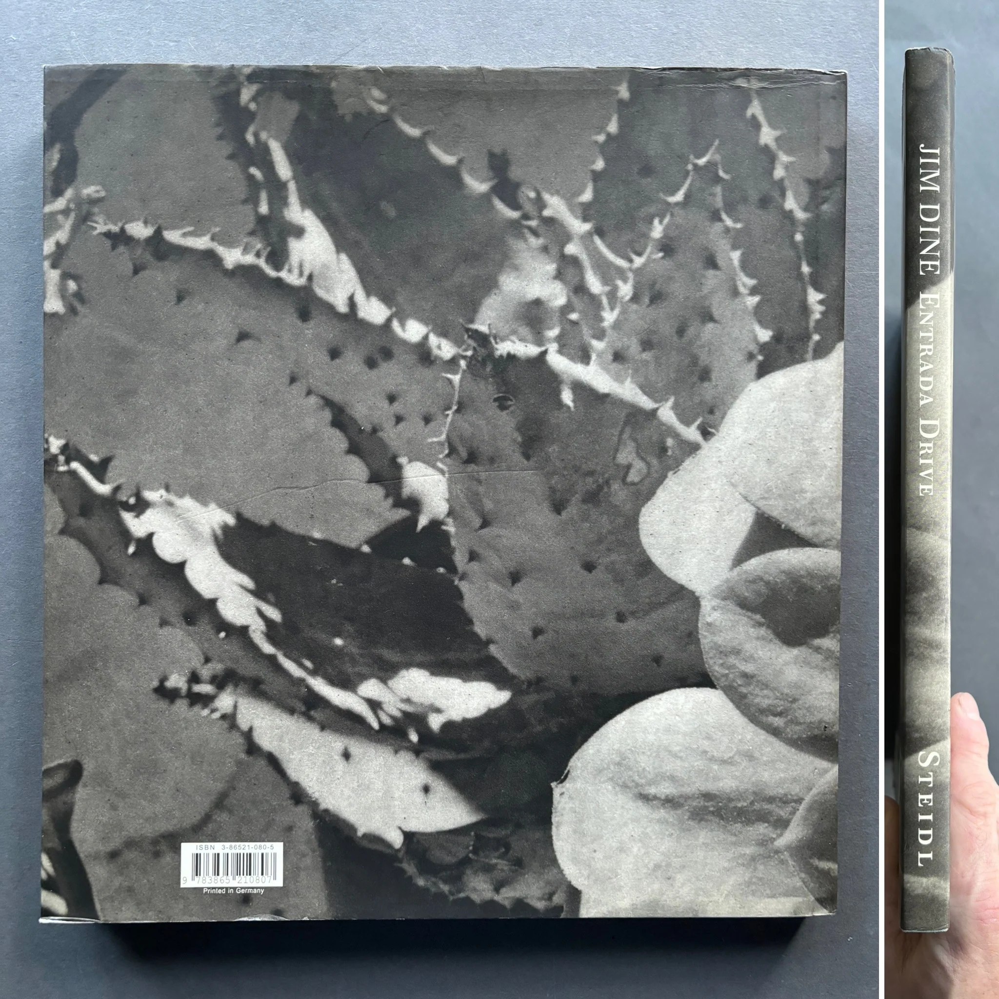 Entrada Drive - Image 8