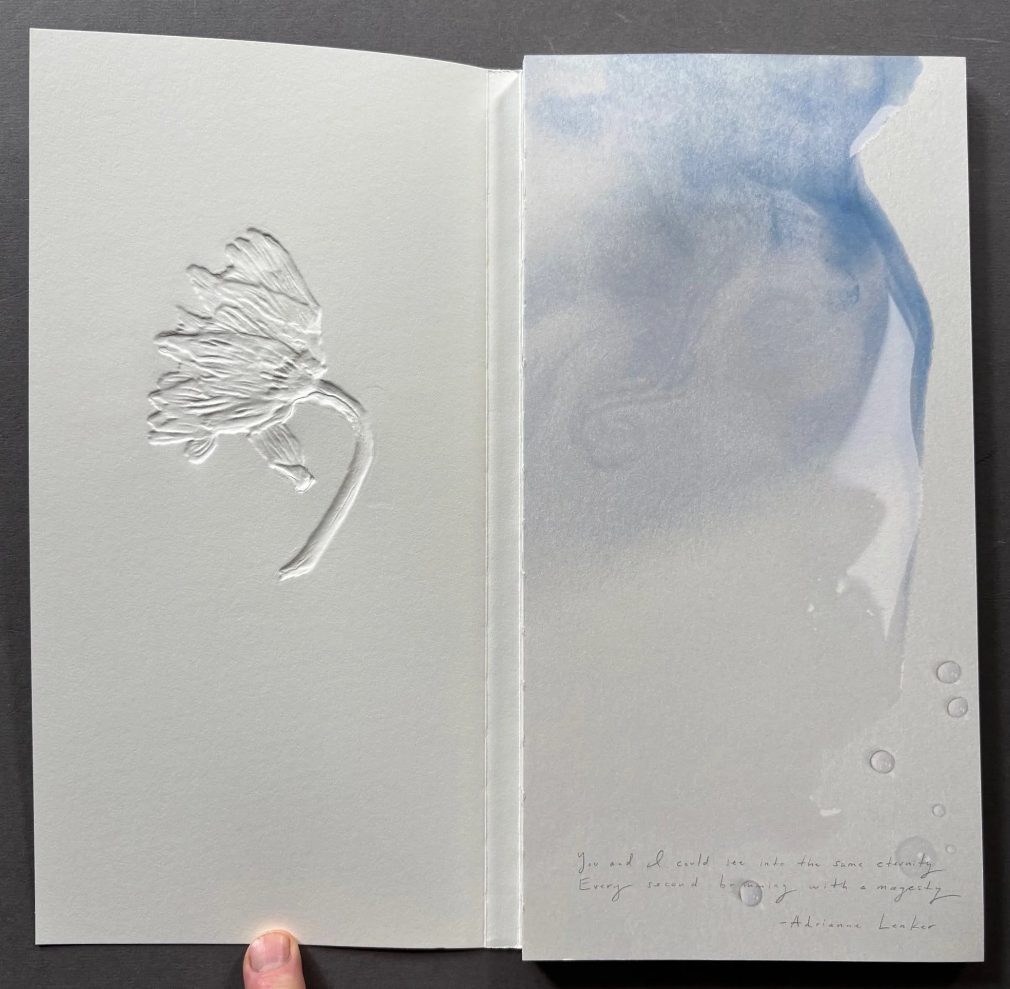 Ephemeral field Journal - Climate and Love in Claude Monet's Garden - Image 2