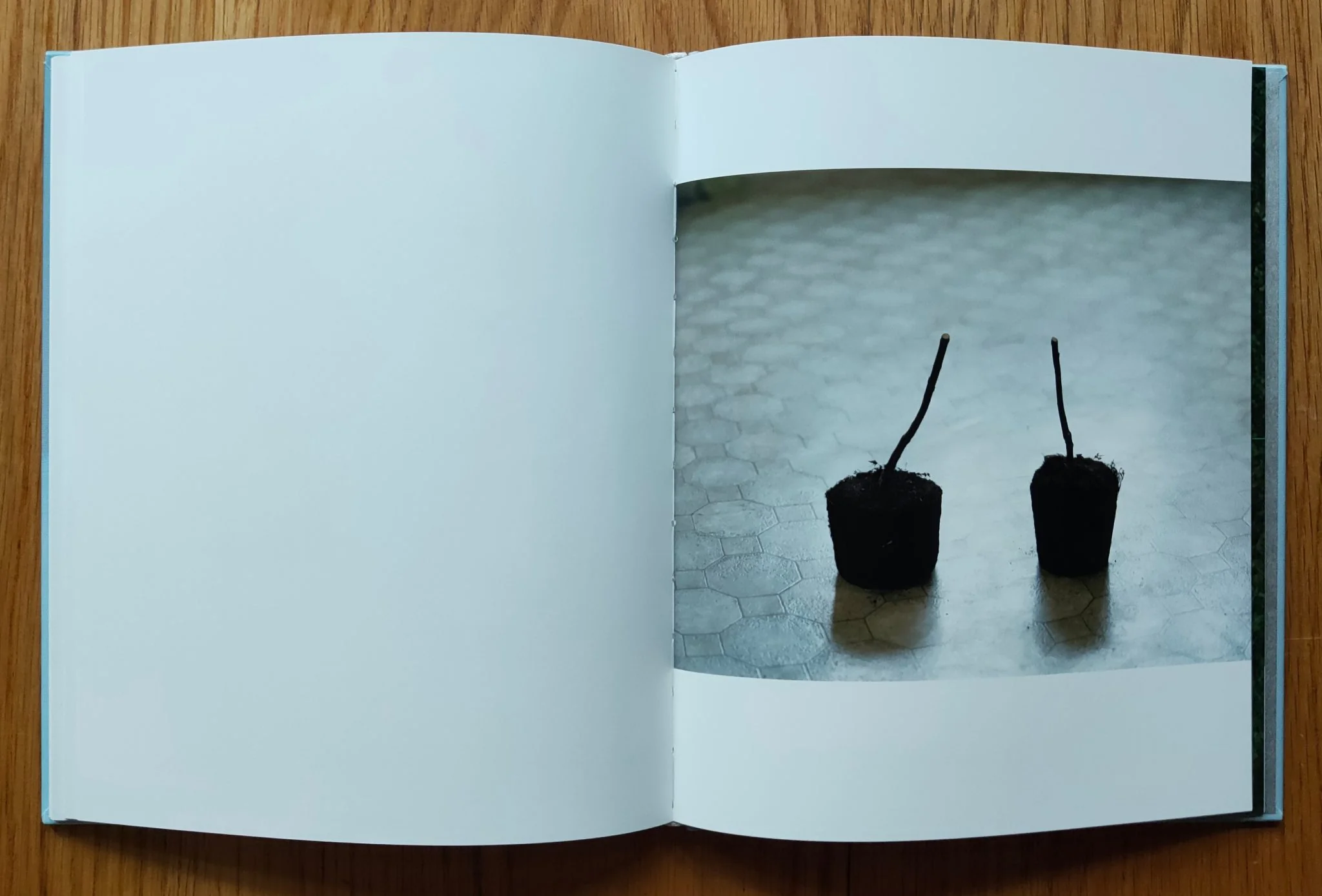 Erik Ostensson - Image 10