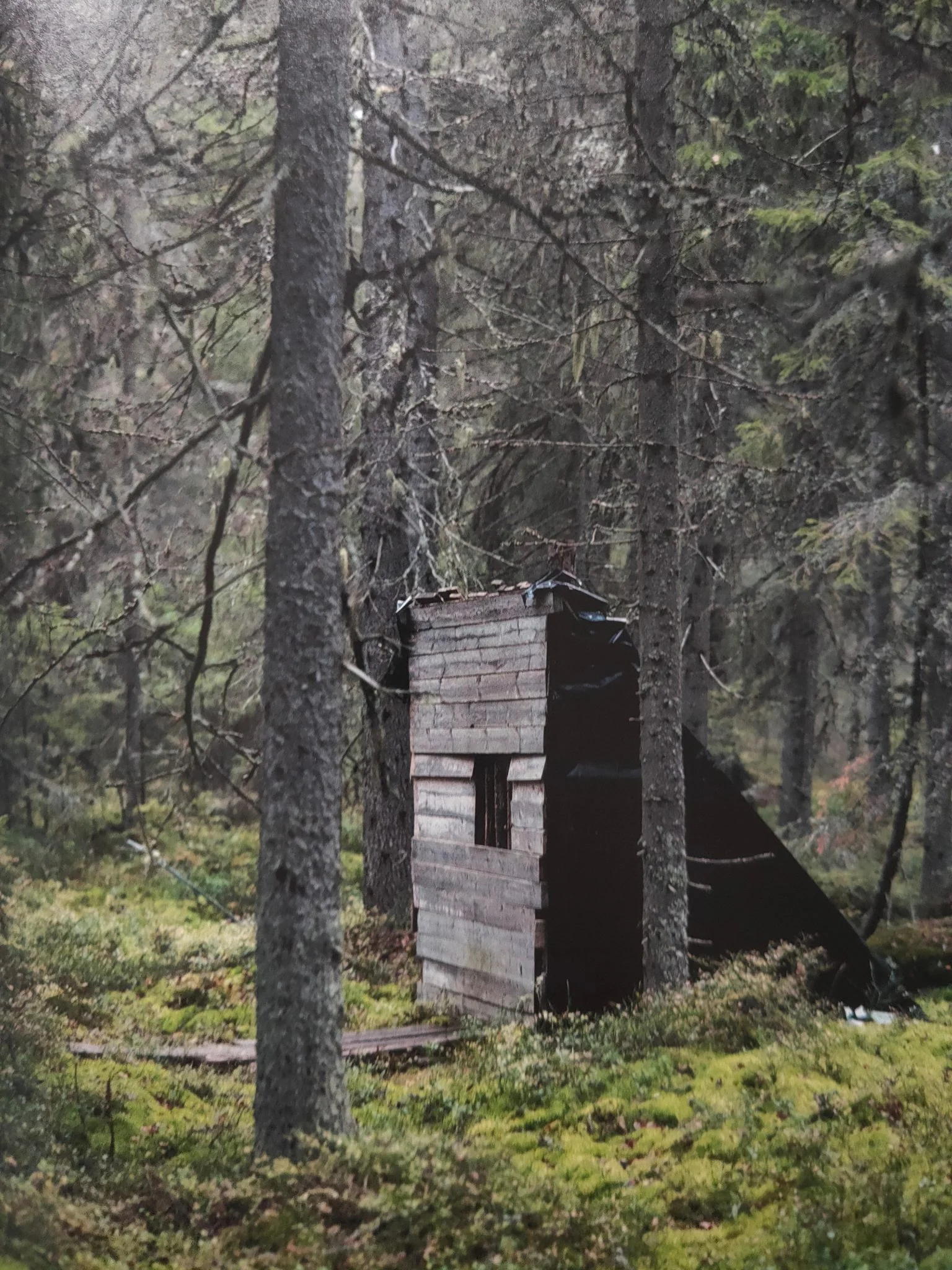 Erik Ostensson - Image 7