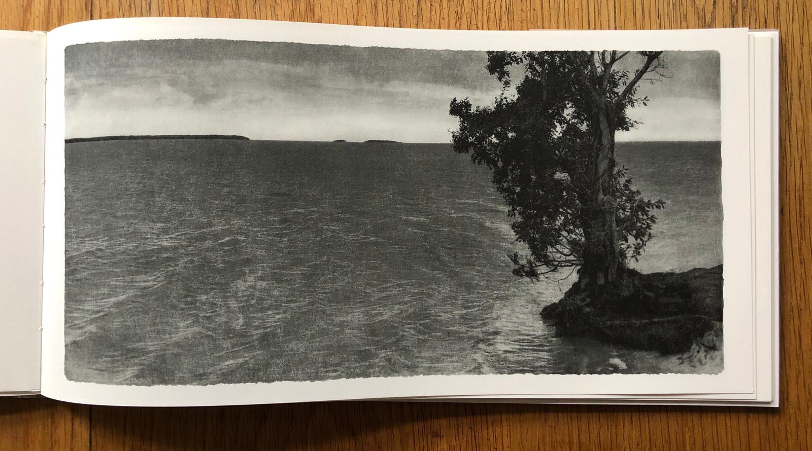 Everglades - Image 3