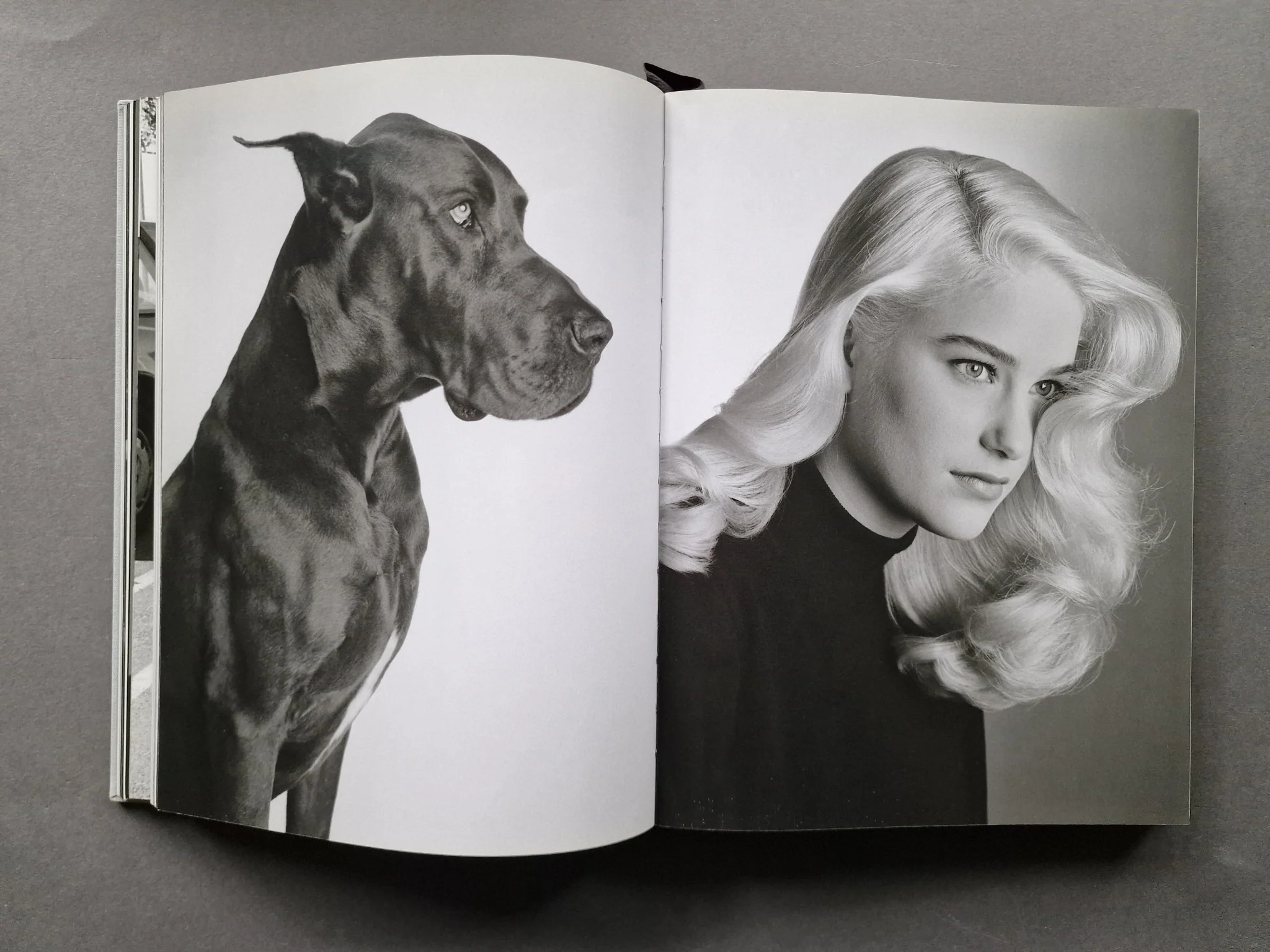 Everything: The Black And White Monograph - Image 4