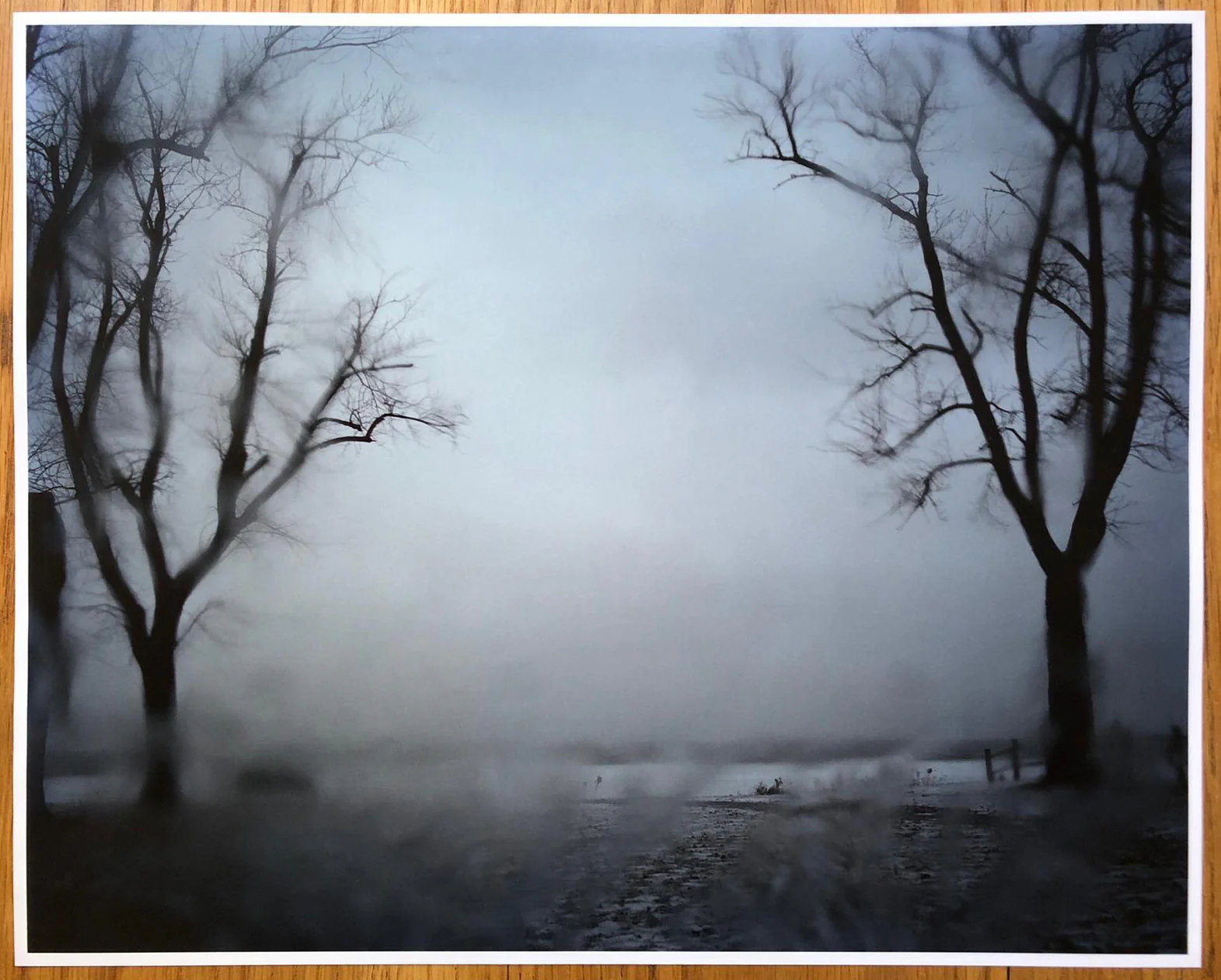 Excerpts from Silver Meadows with a Limited Edition Print
