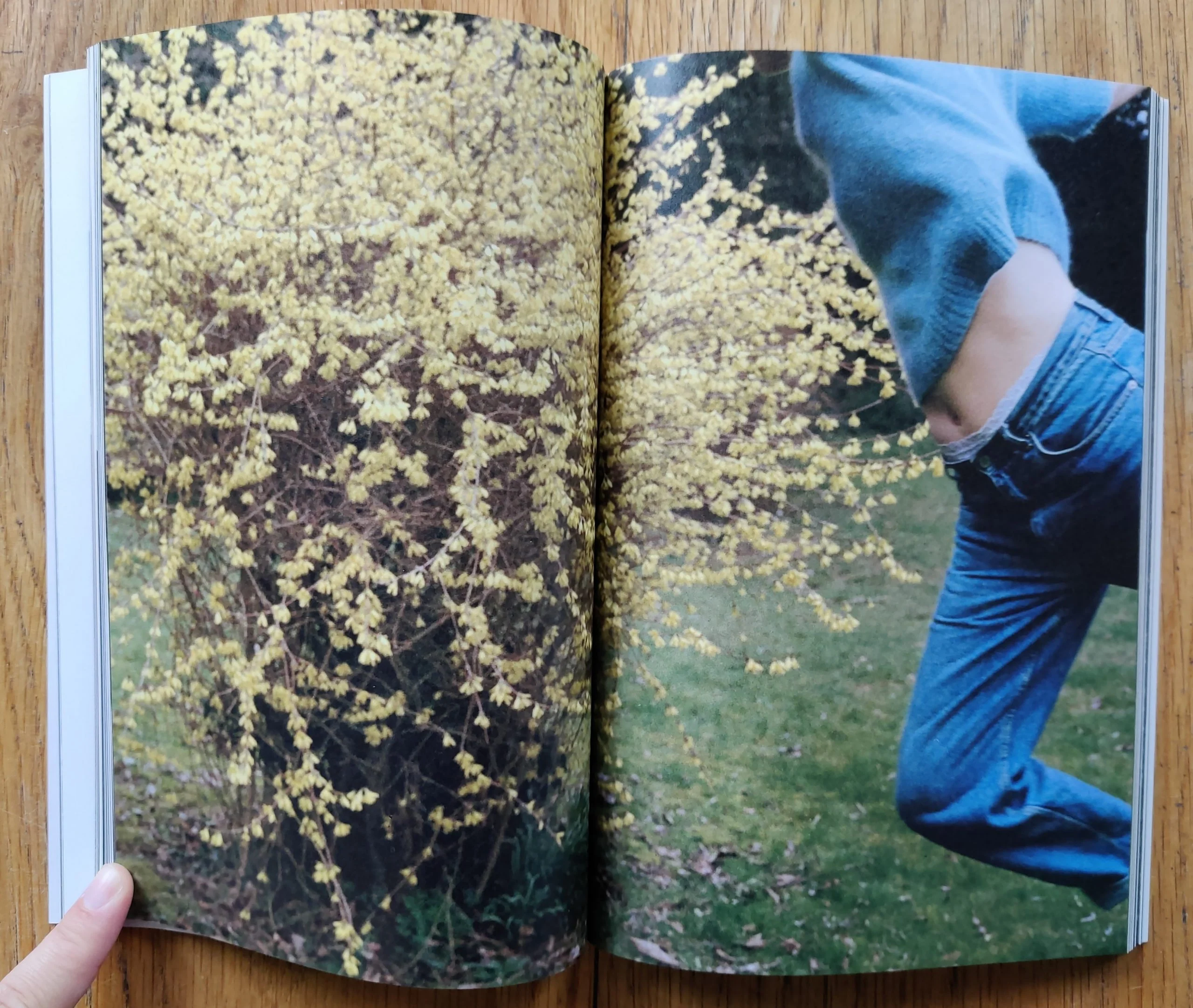 Falling - Image 3