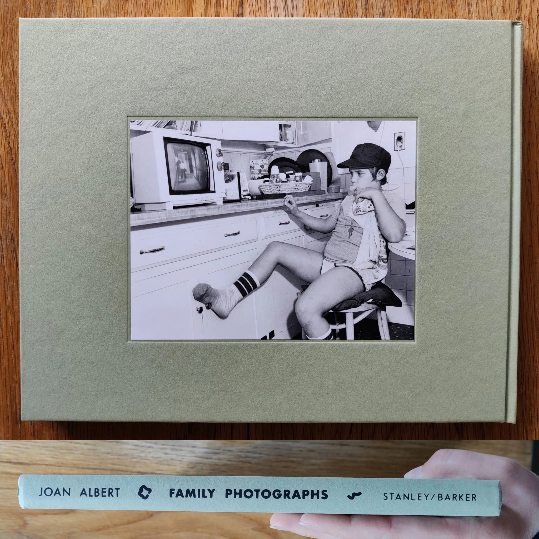 Family Photographs - Image 8