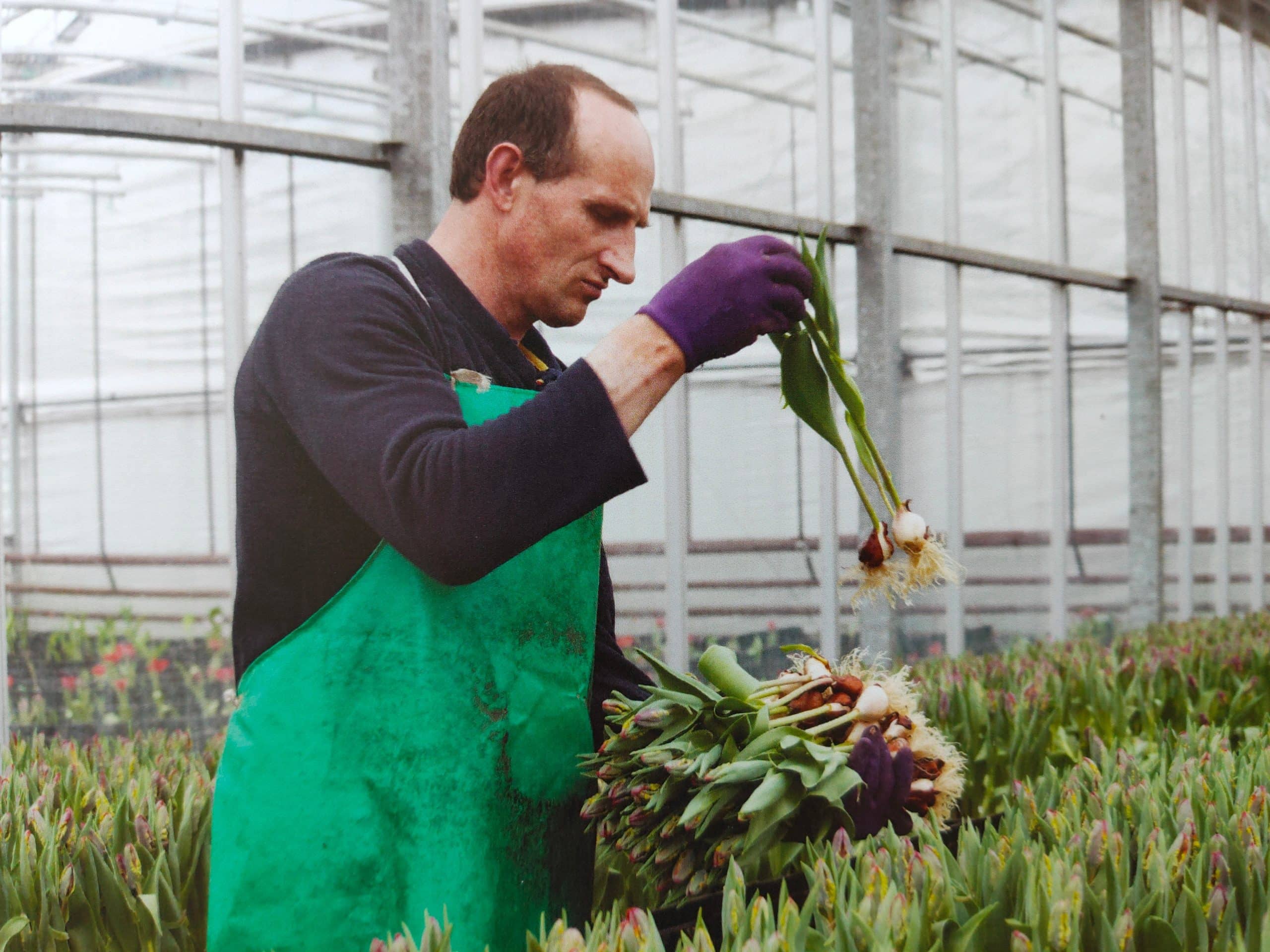 Field Notes 06: FarmerFlorist - Image 3