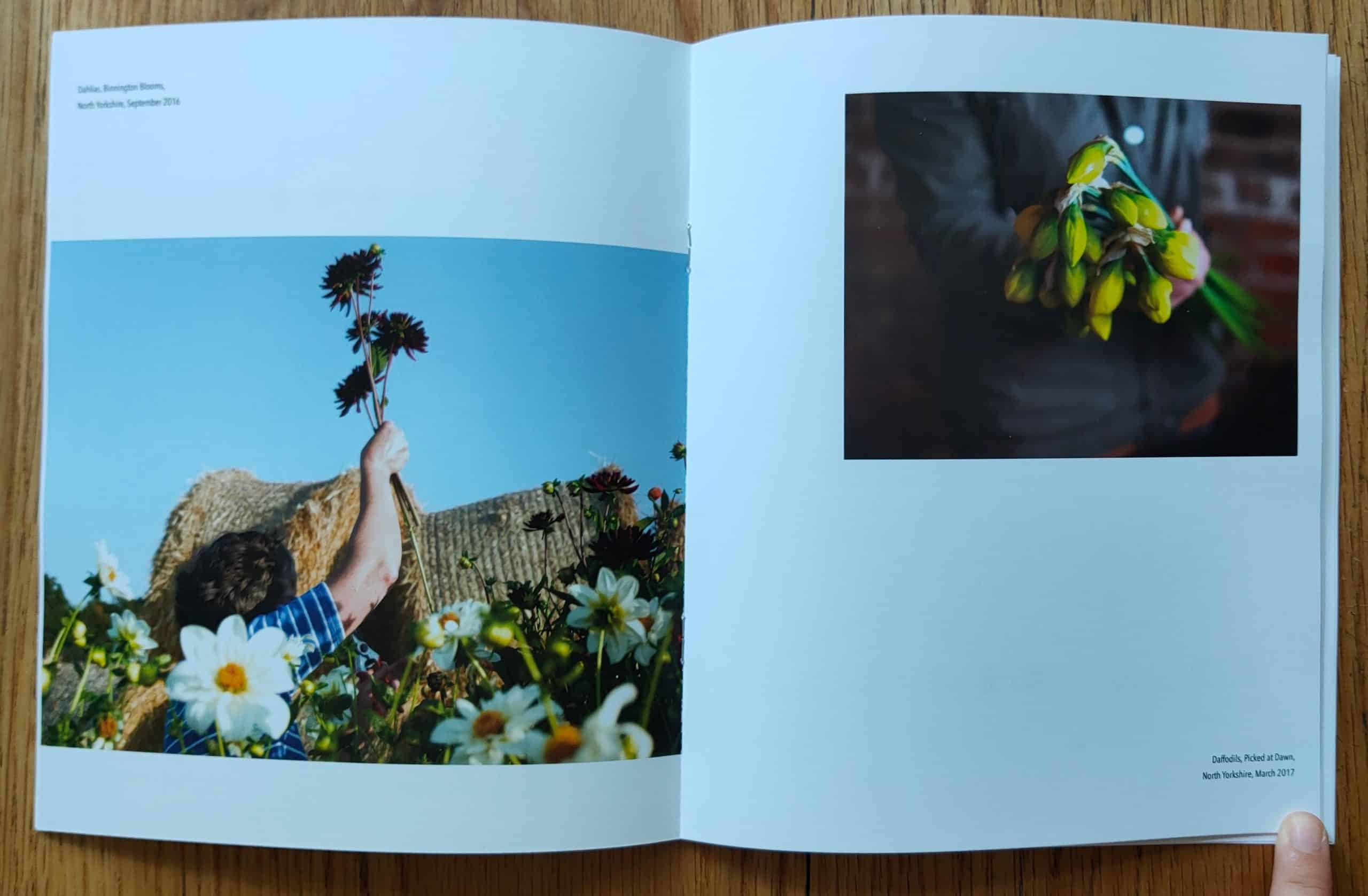 Field Notes 06: FarmerFlorist - Image 4