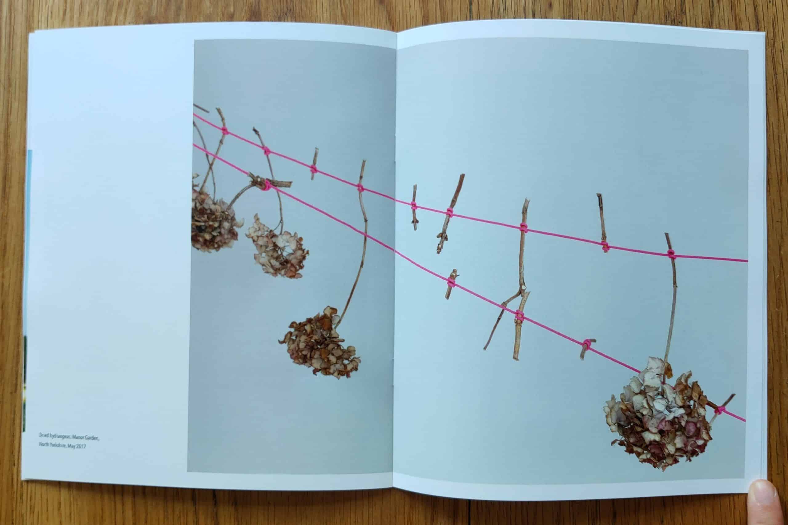 Field Notes 06: FarmerFlorist - Image 6