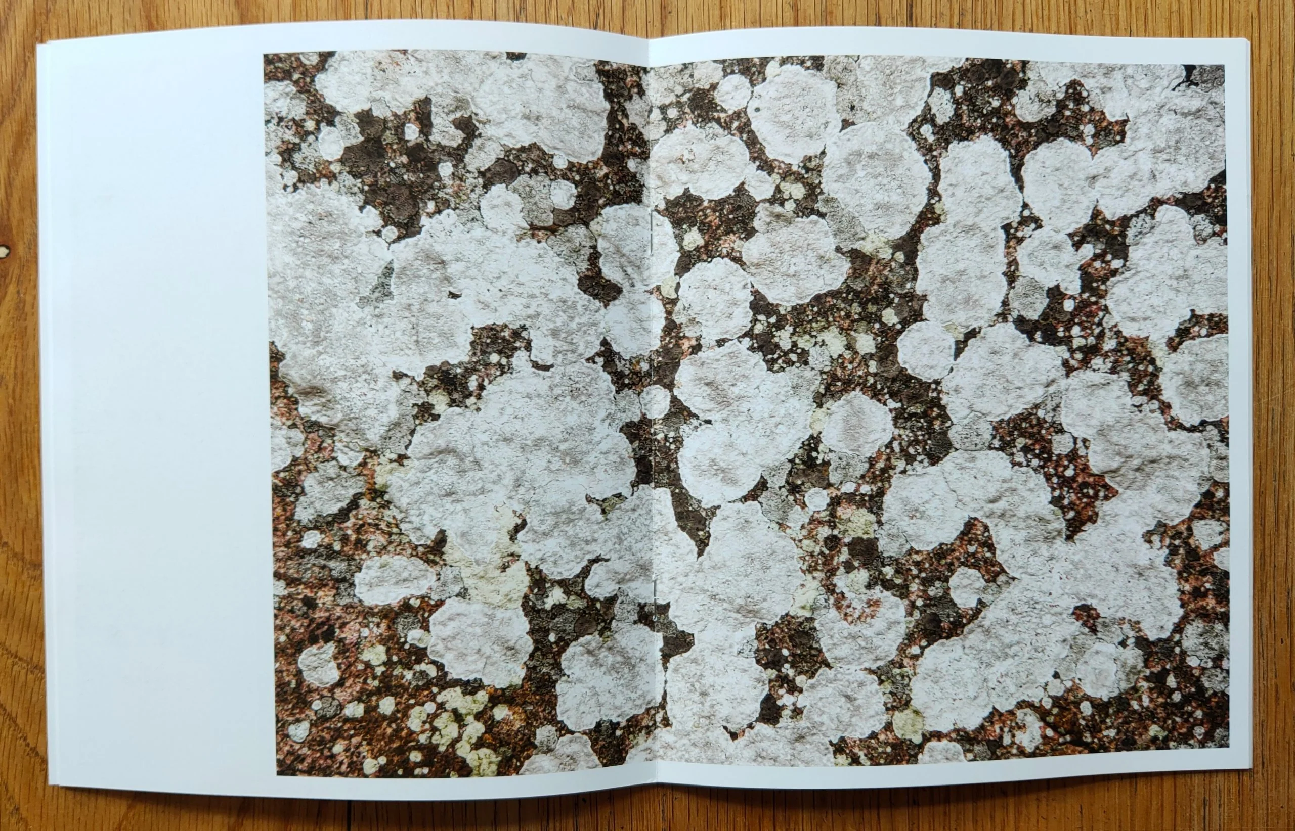 Field Notes 07: Ertholmene - Image 2