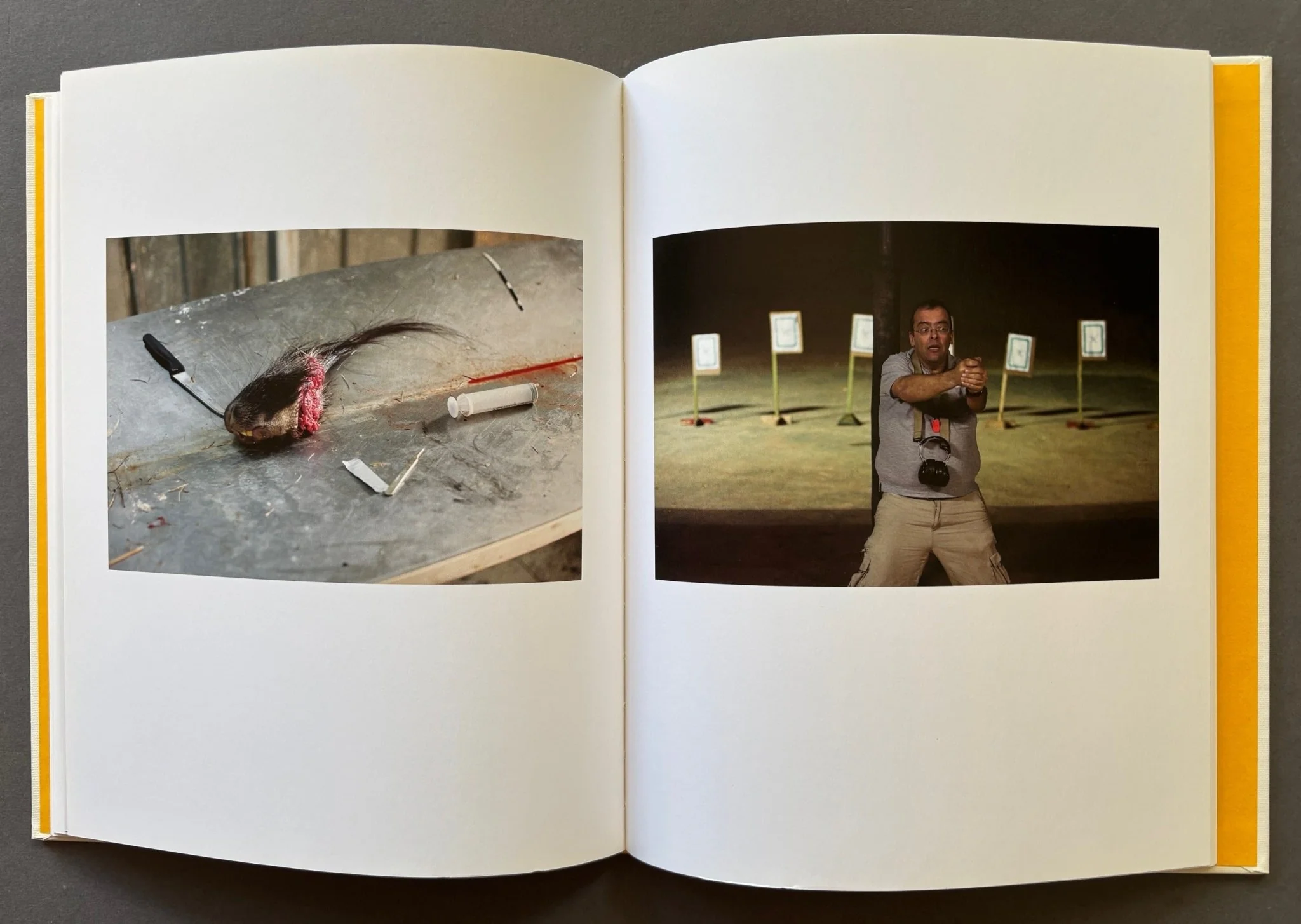 Field Trip - Image 4