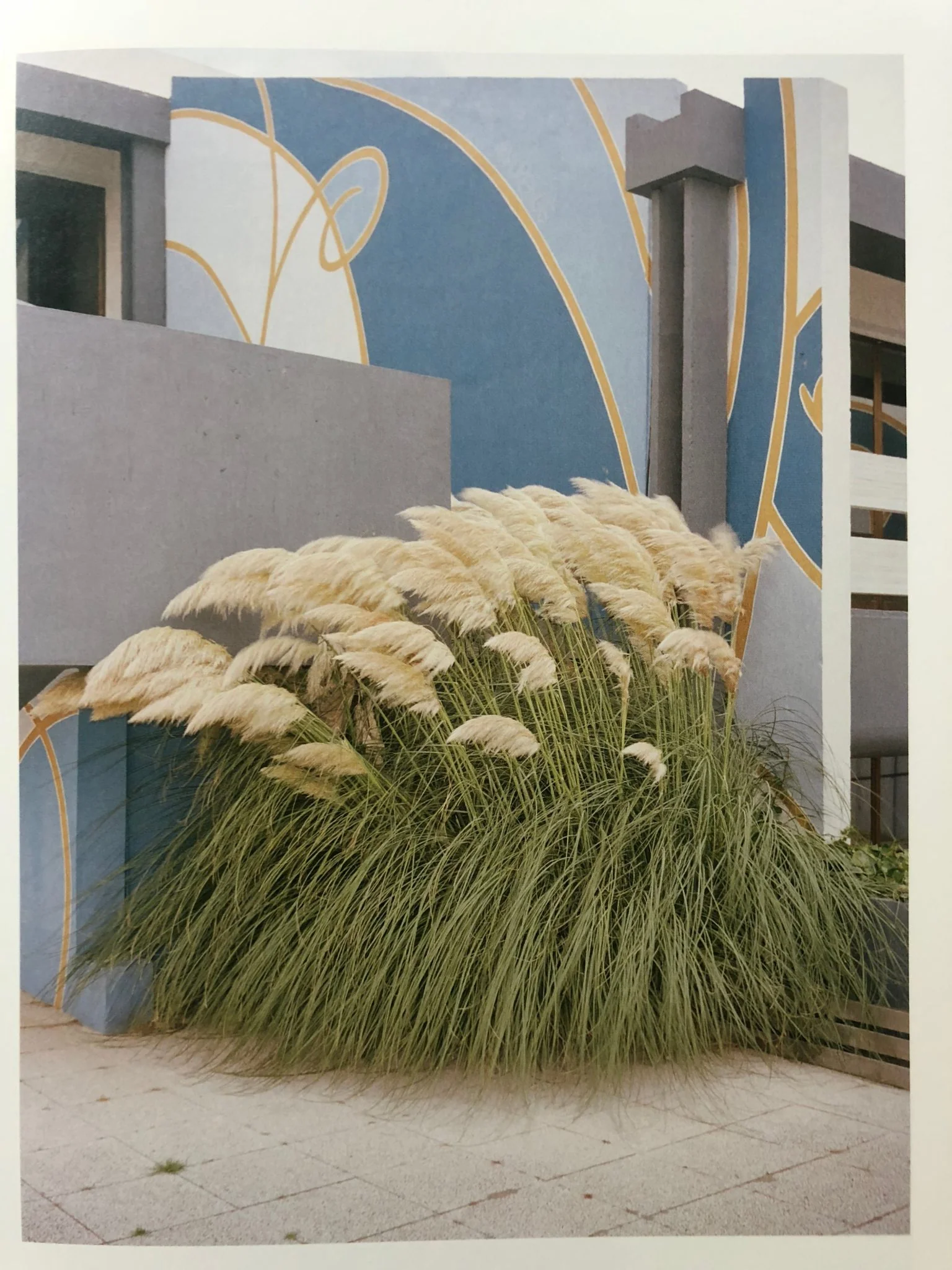 Fifty High Seasons - Image 7