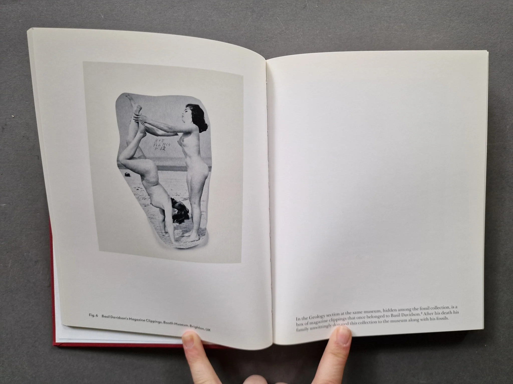 Fig. - Image 3