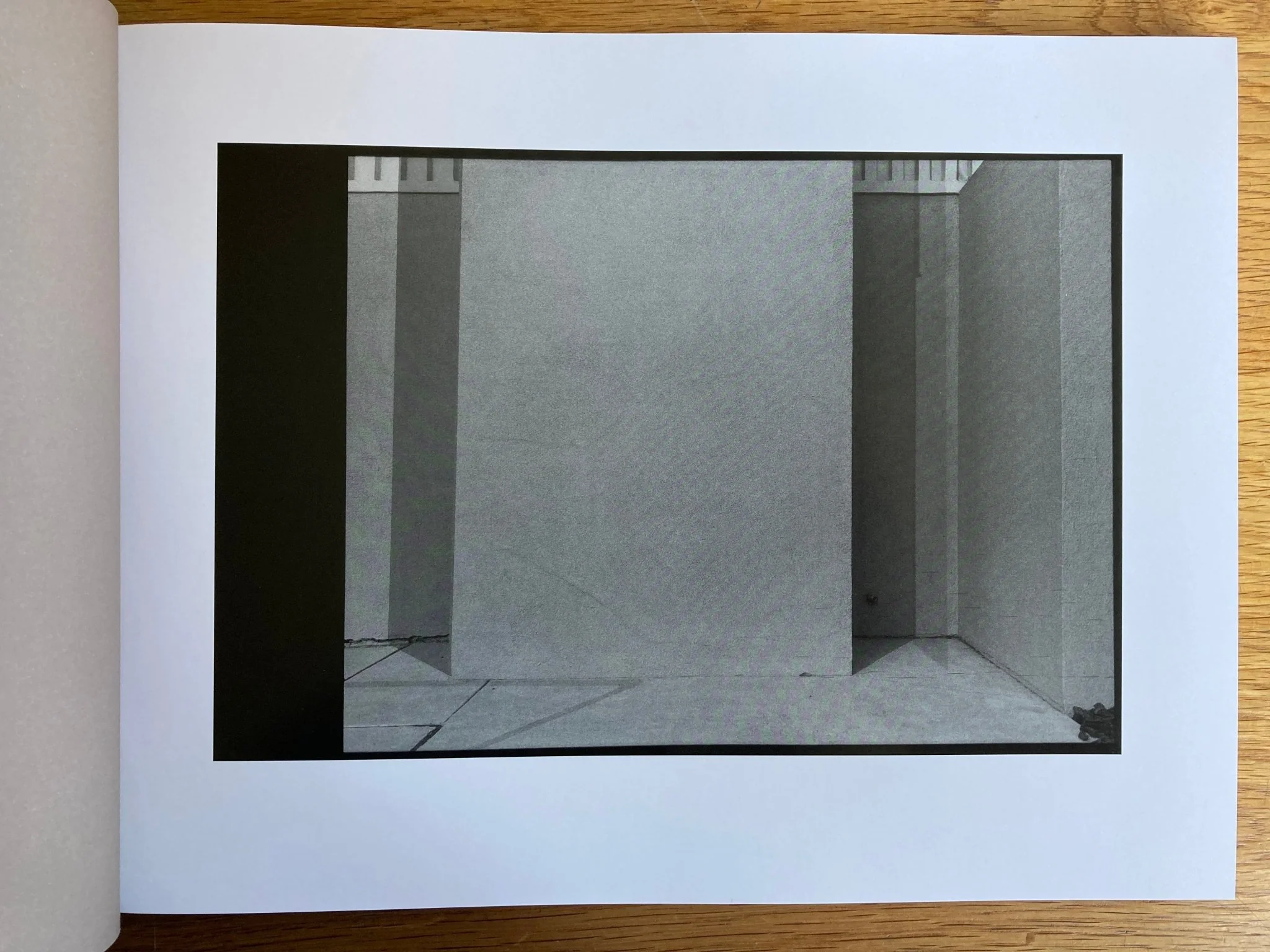 Finding Bones - Image 5