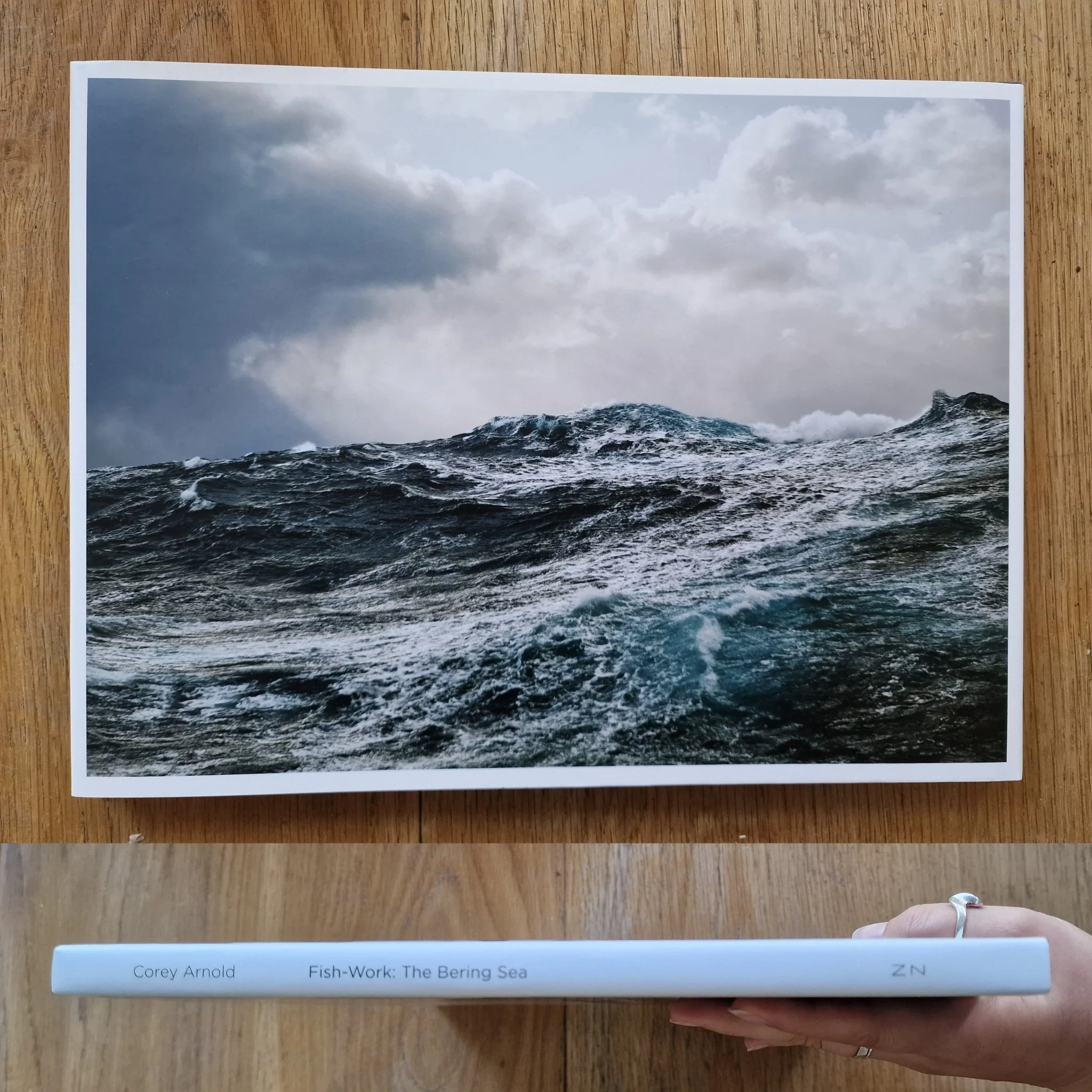 Fish-Work: The Bering Sea - Image 10