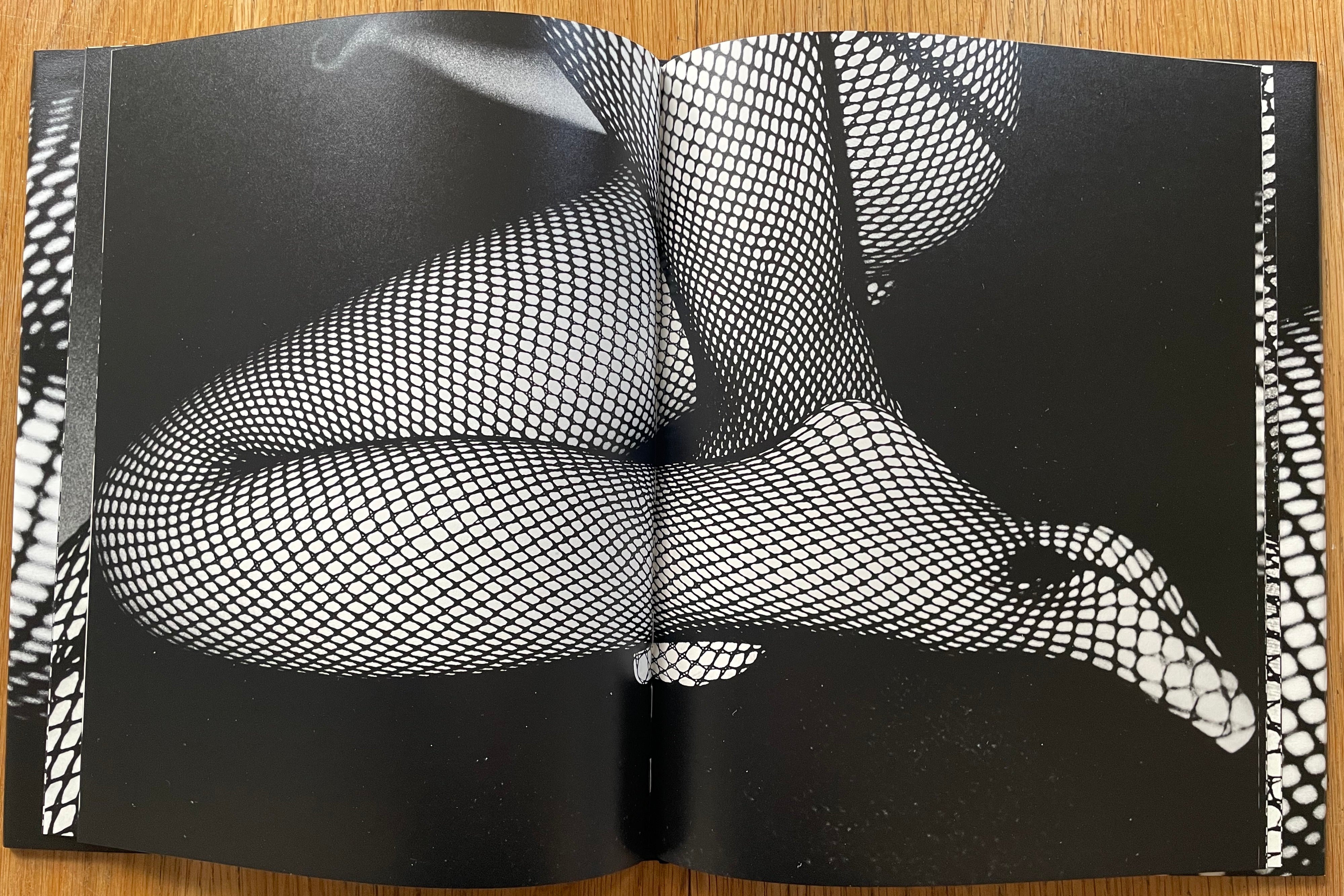 Fishnet - Image 5