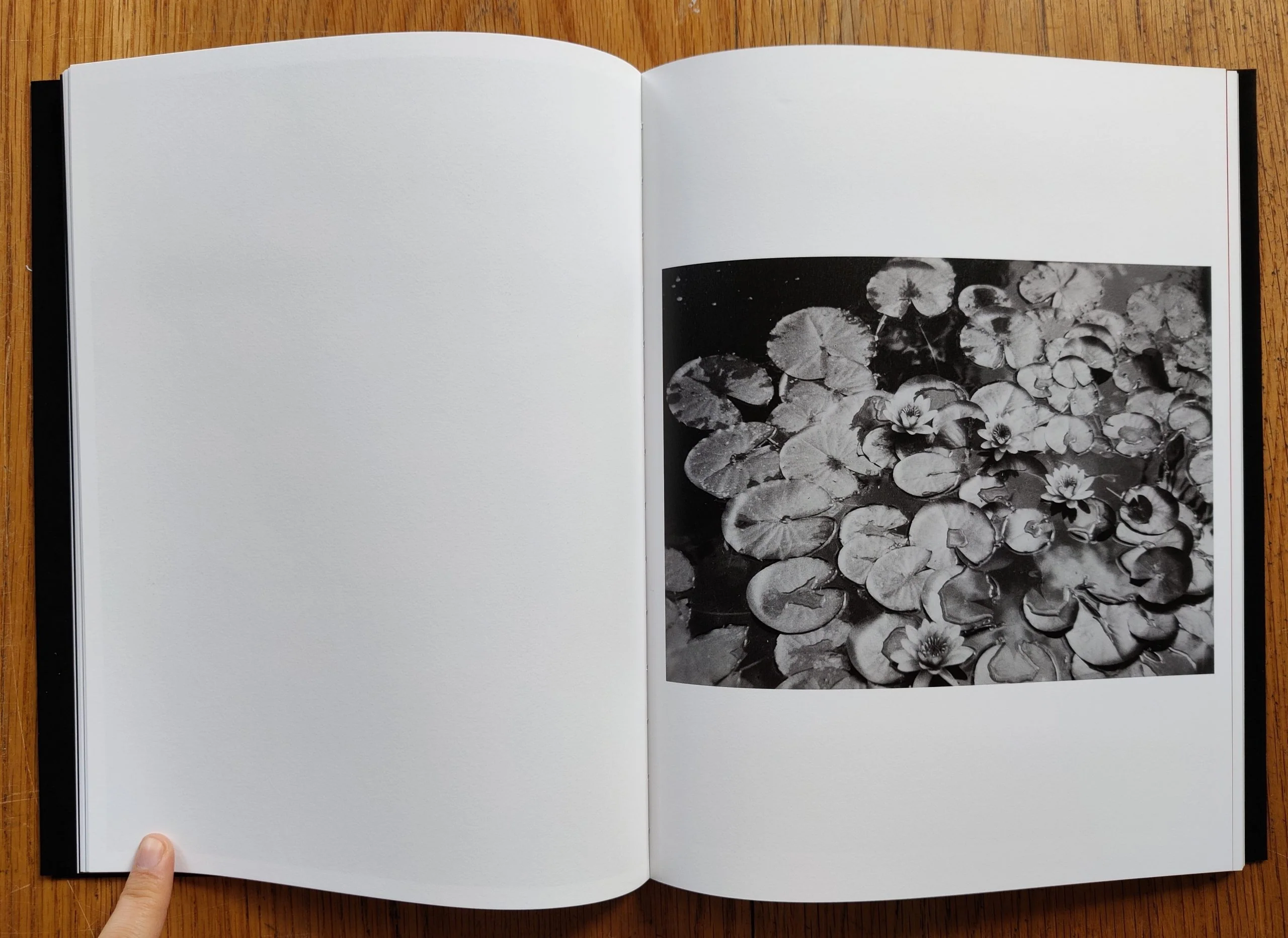 Five Photographers - Image 3