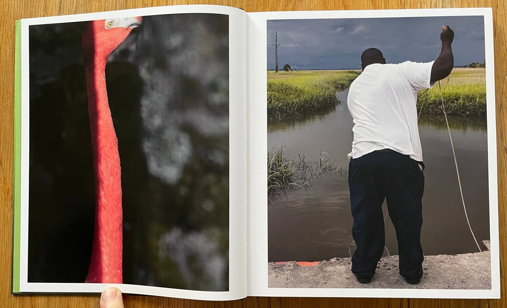 FloodZone - Image 3