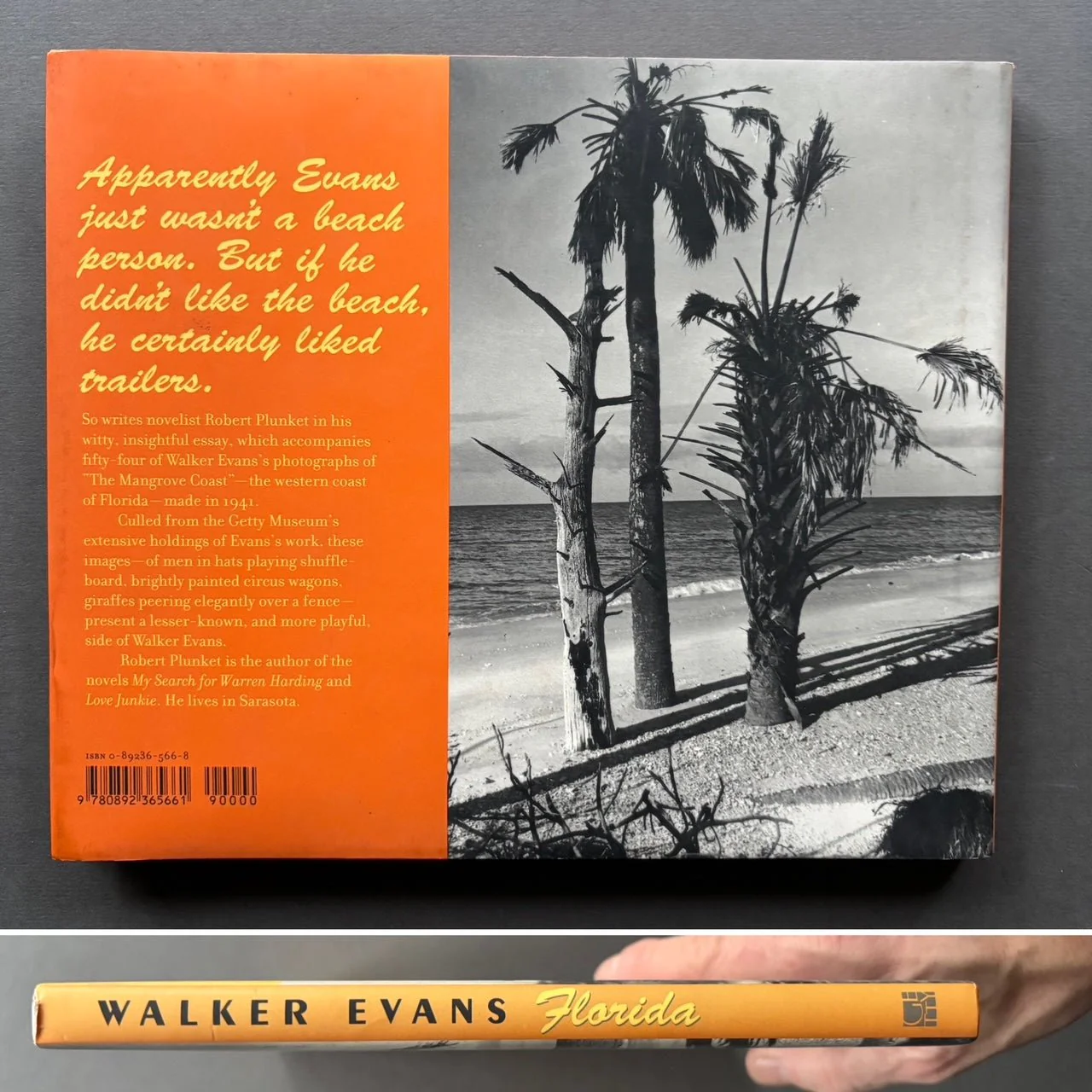 Florida - Image 6