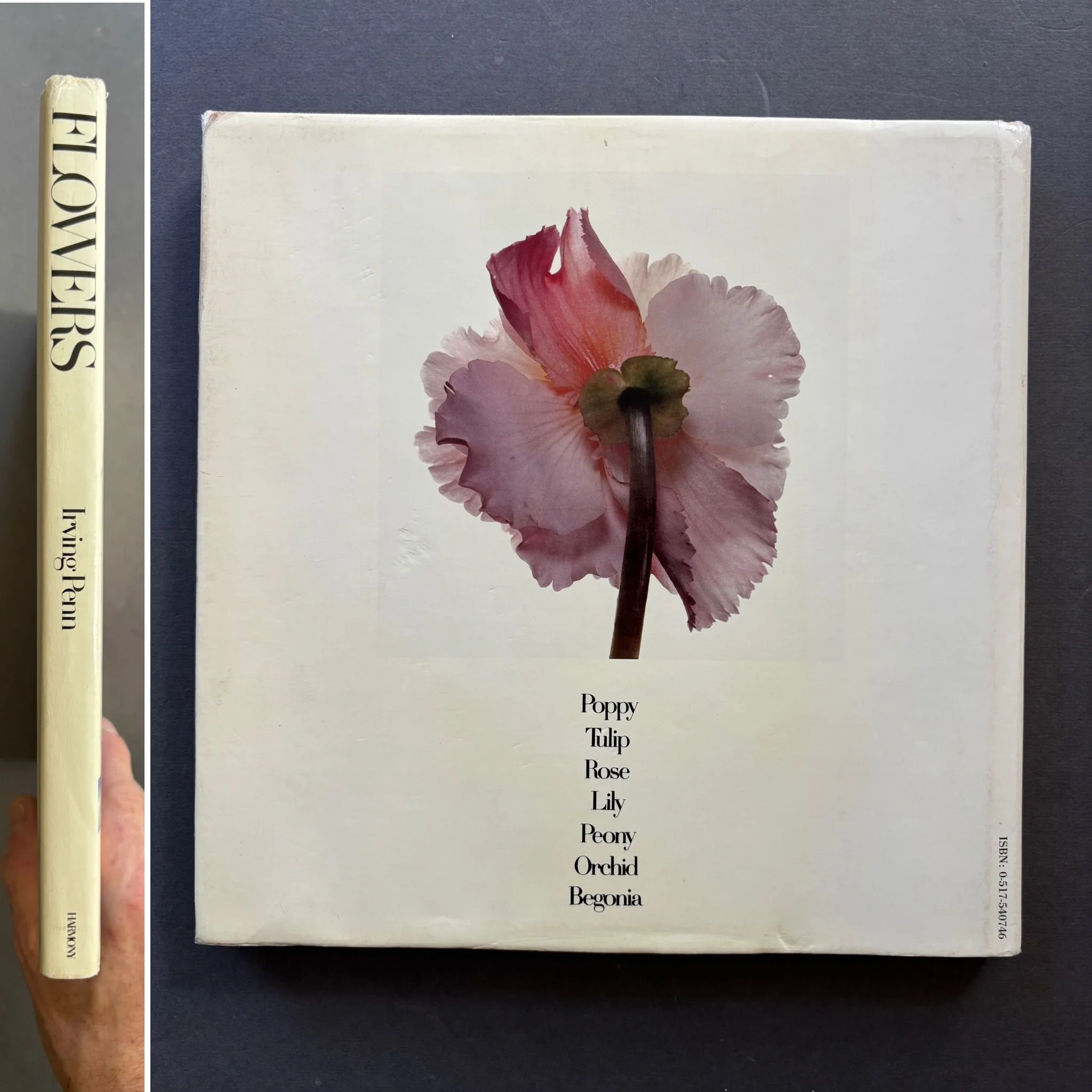 Flowers - Image 6