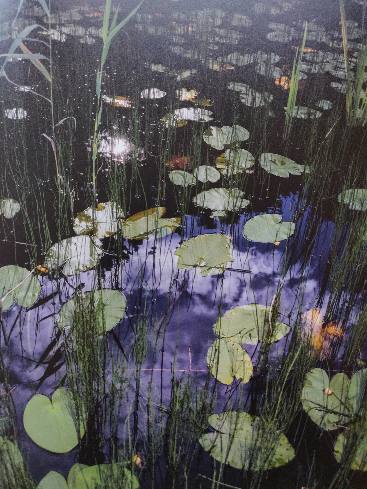 Fluvial - Image 3