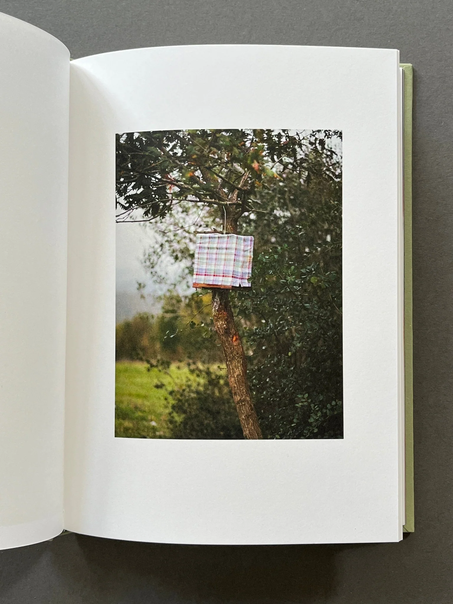 For Birds' Sake - Image 4