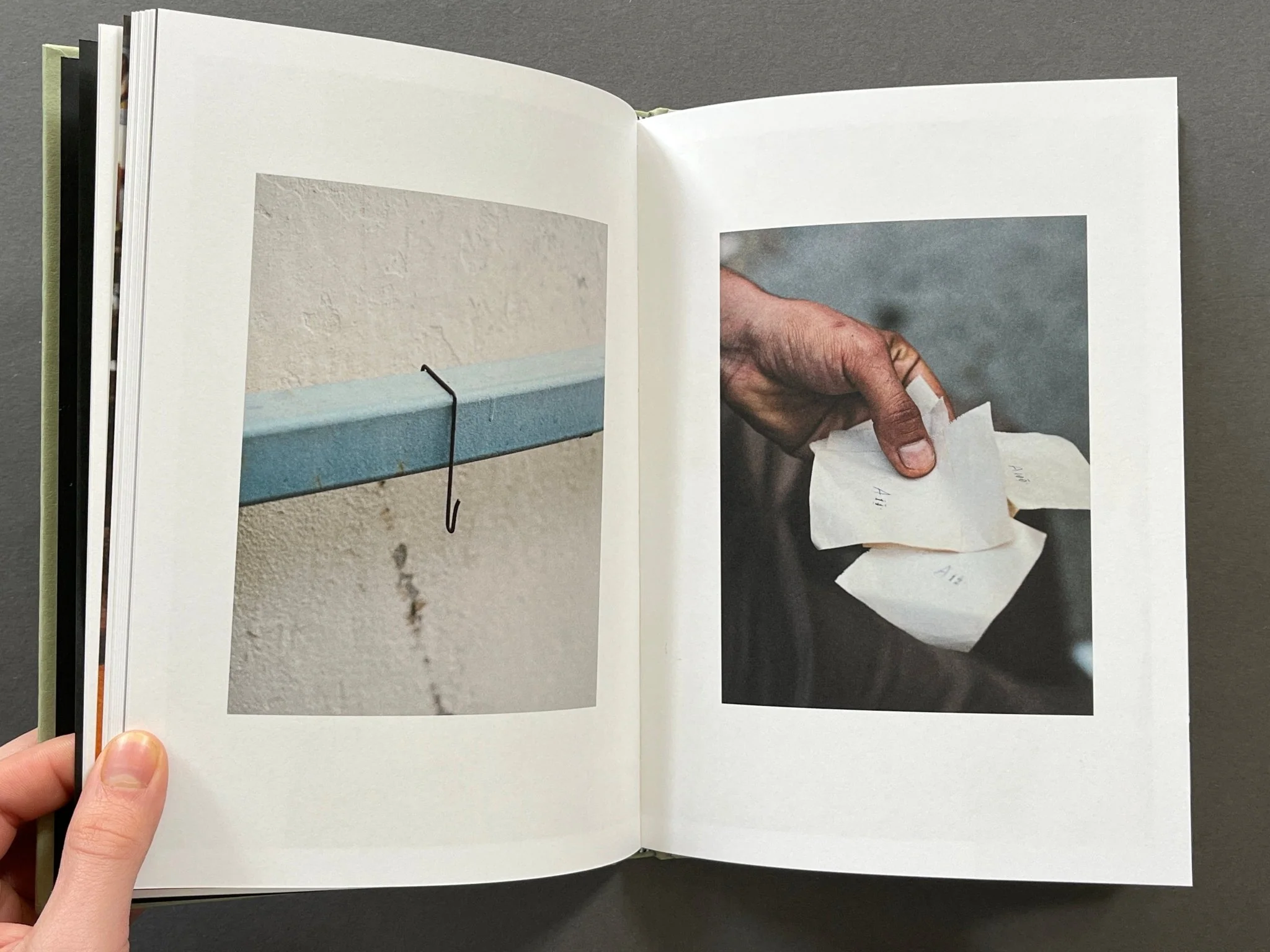 For Birds' Sake - Image 5