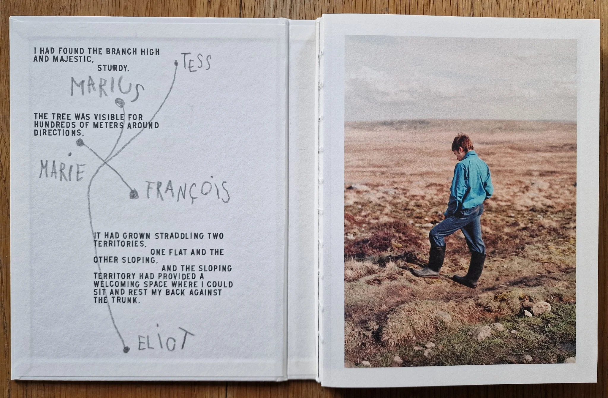 Forage - Image 2