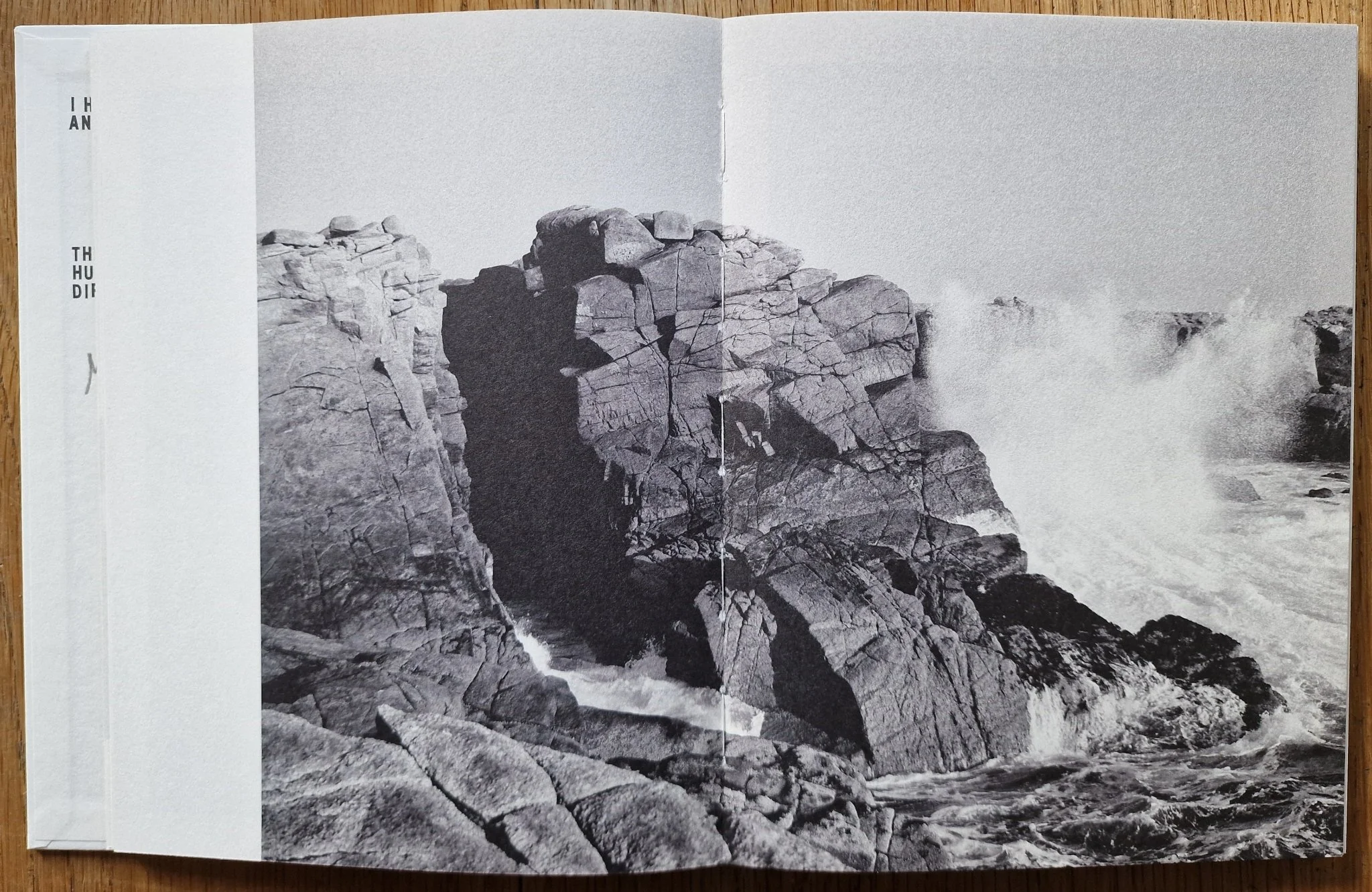 Forage - Image 4