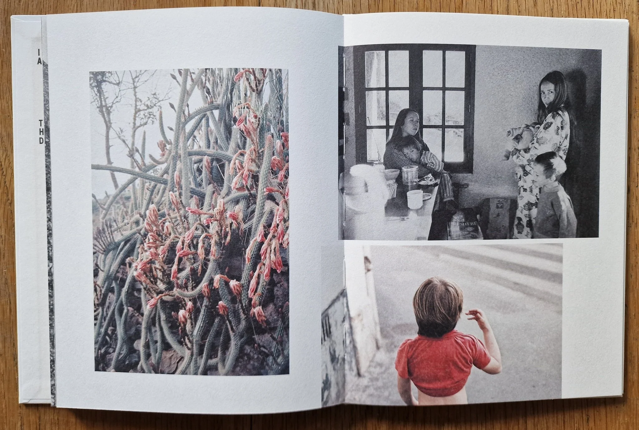 Forage - Image 5