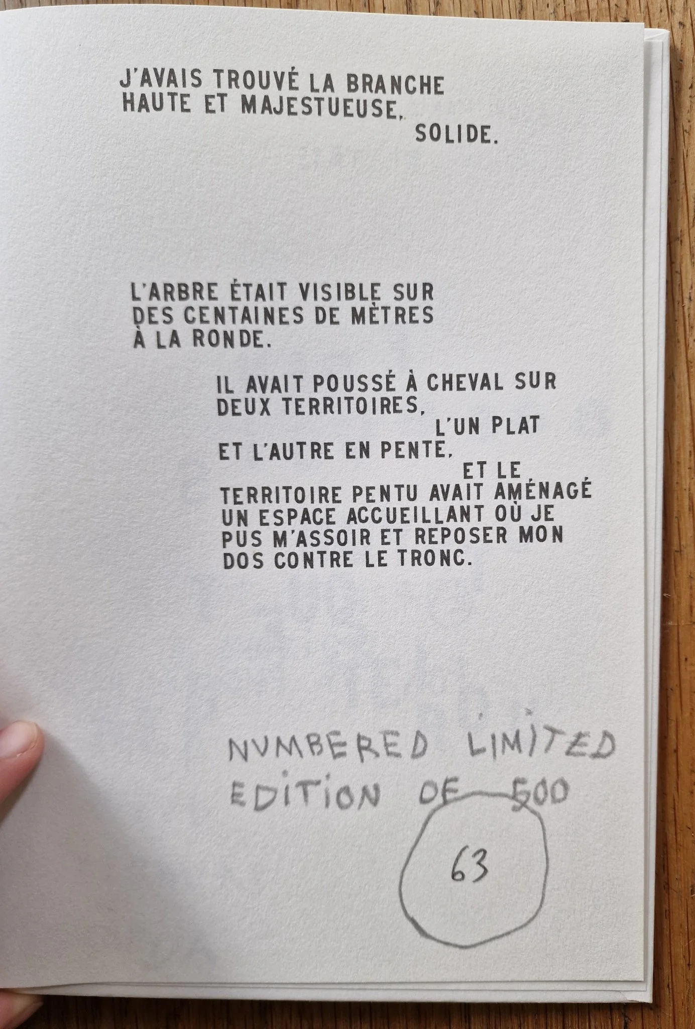 Forage - Image 6