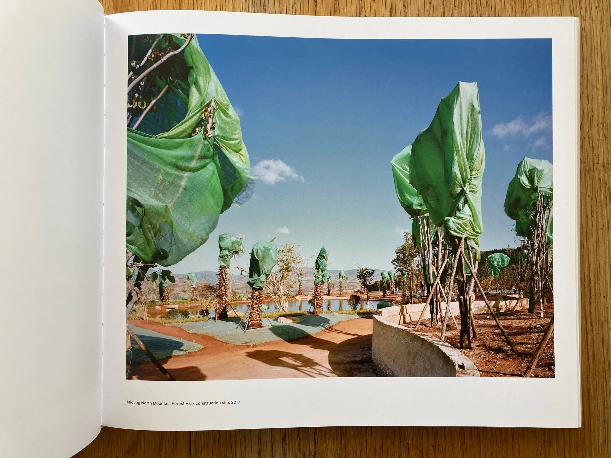 Forest - Image 4