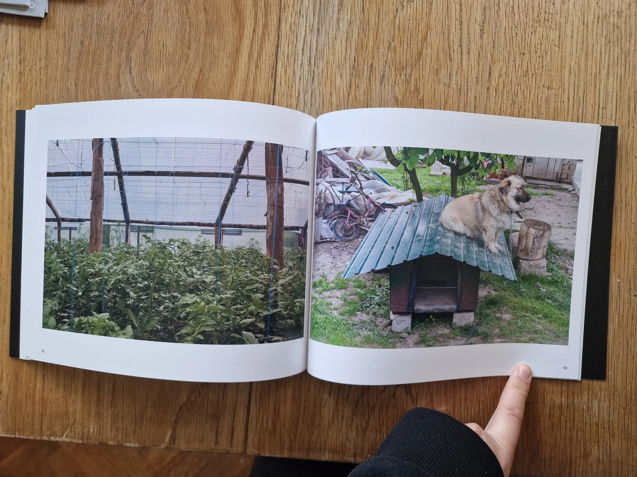 Forward March - Image 5