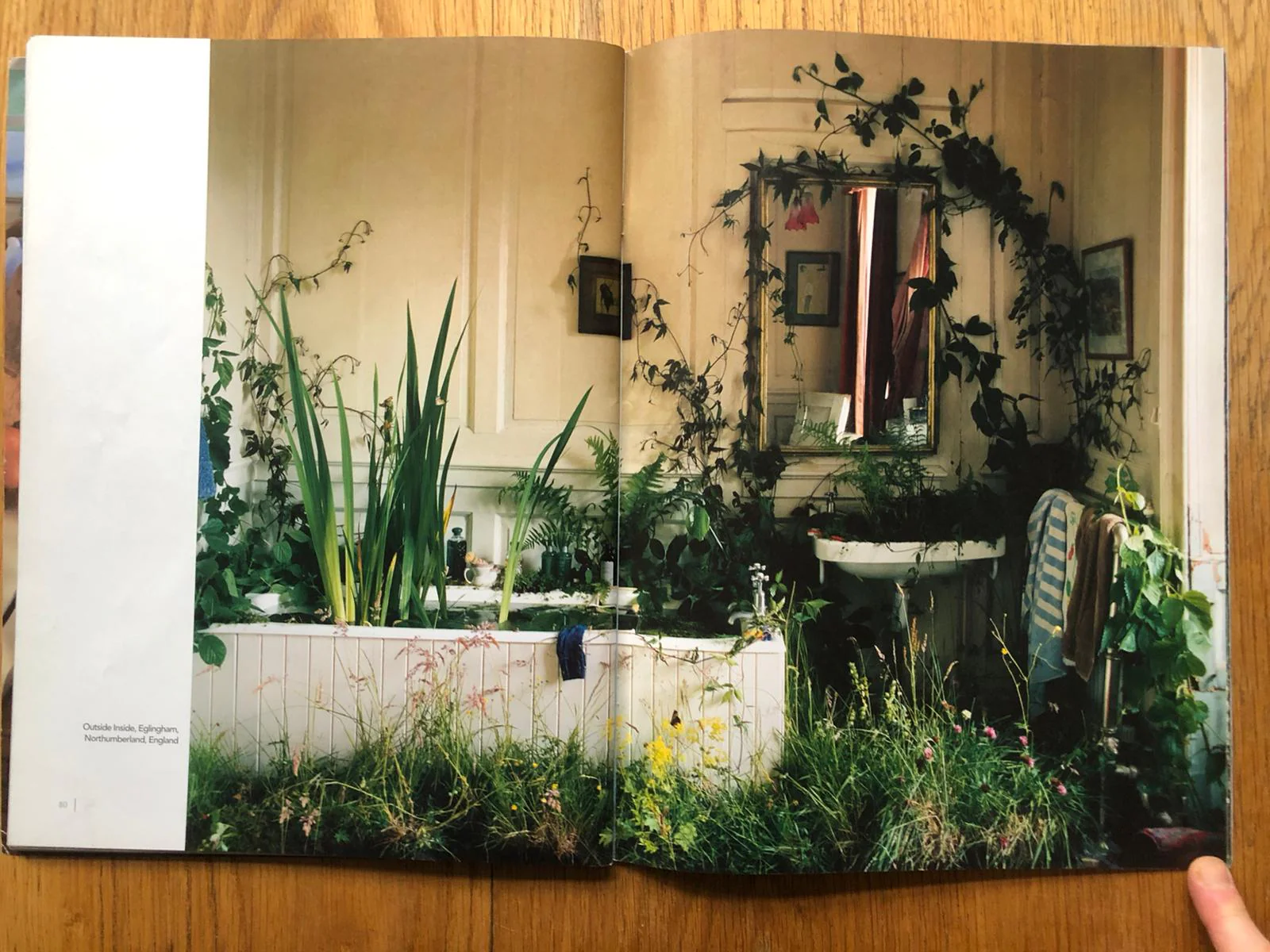 Fotografie - Image 7
