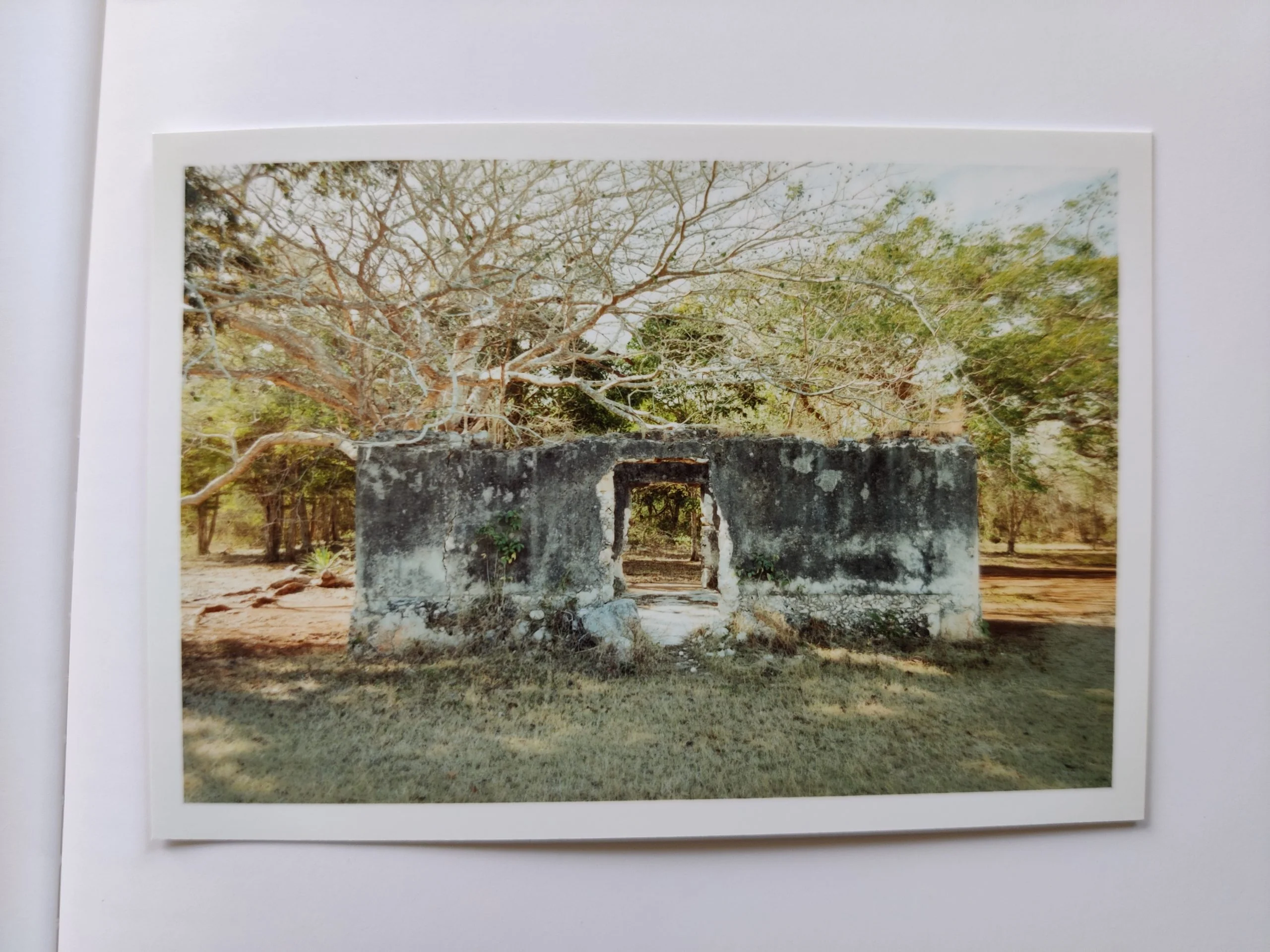Four Sections of Time (One Picture Book) - Image 3