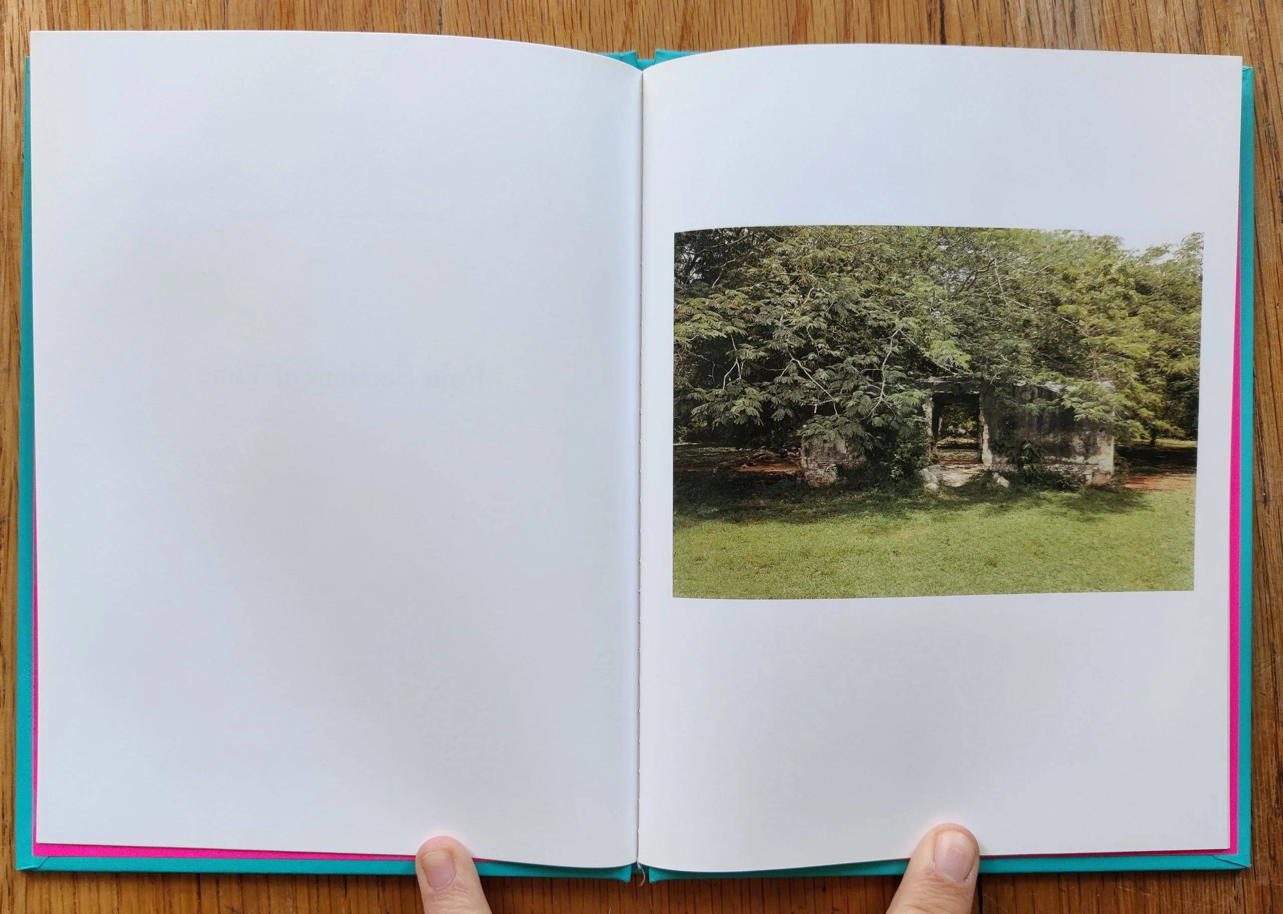 Four Sections of Time (One Picture Book) - Image 4