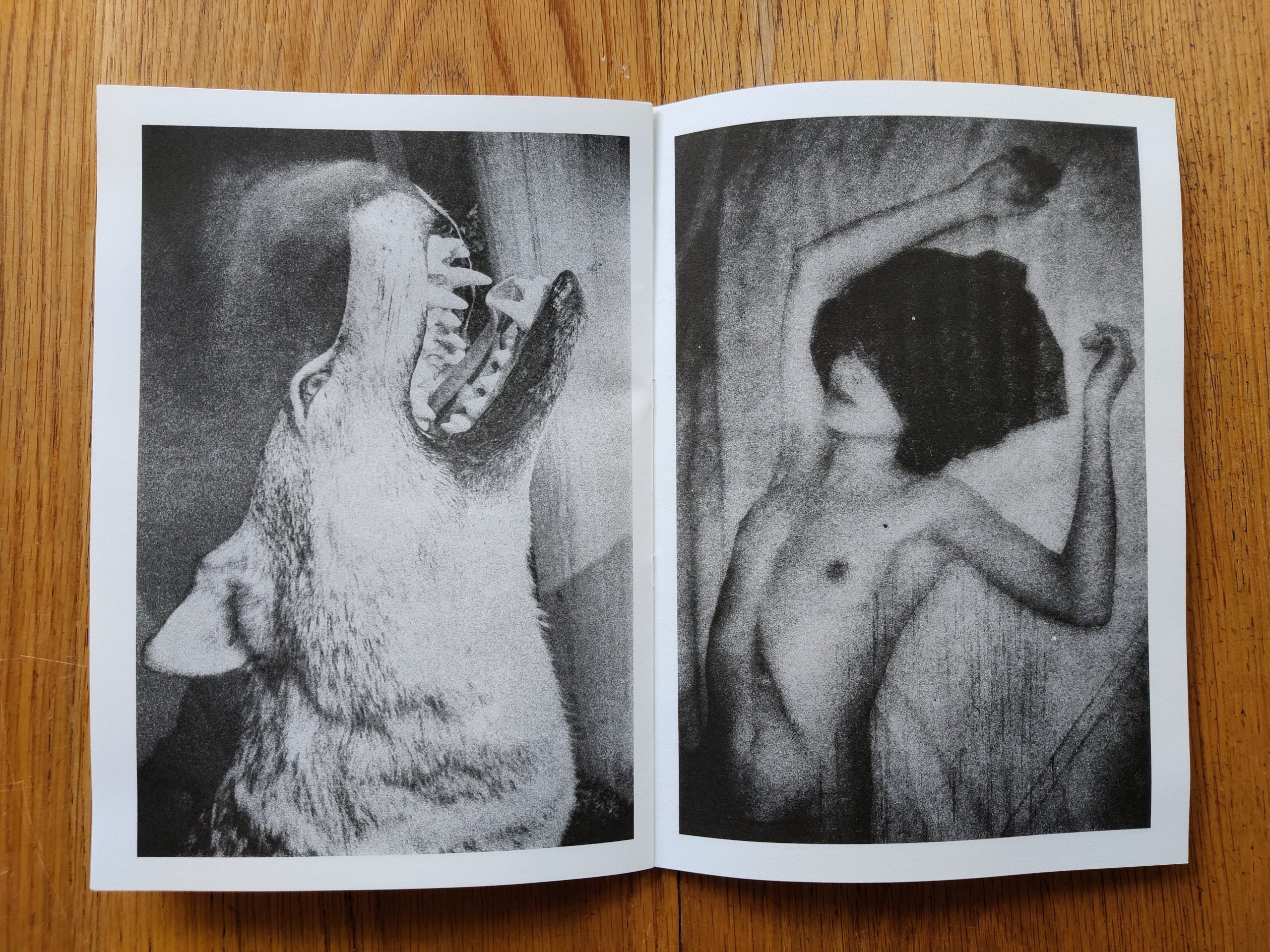 Fragments (L’Atelier RisoGraphique 6) - Image 3