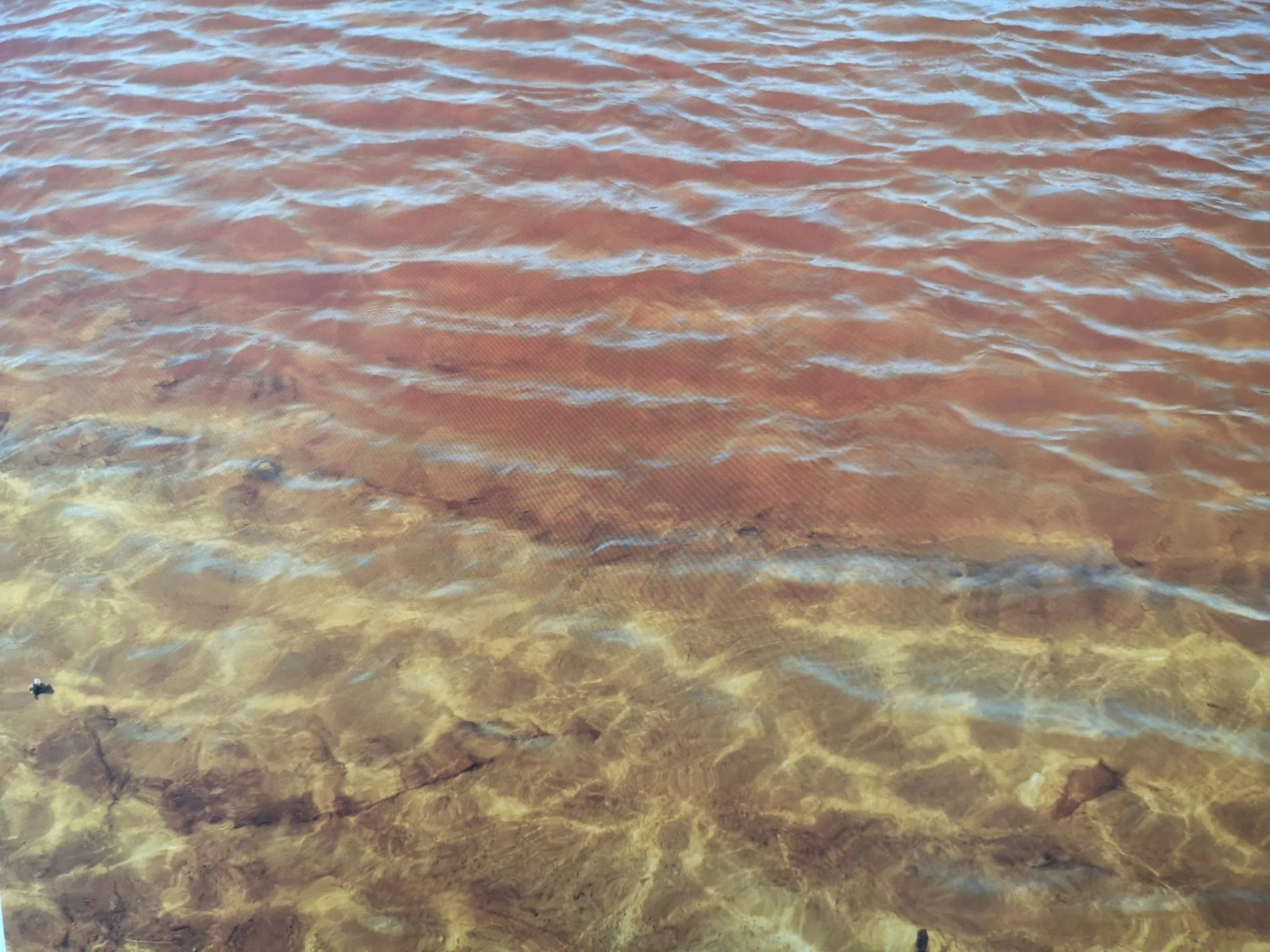 Fried Waters - Image 4