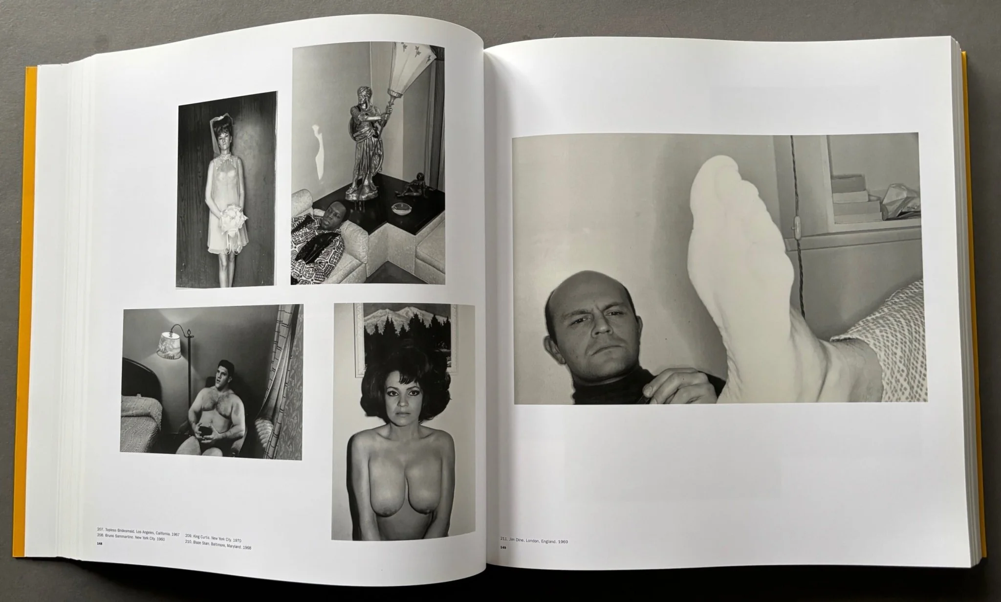 Friedlander - Image 2