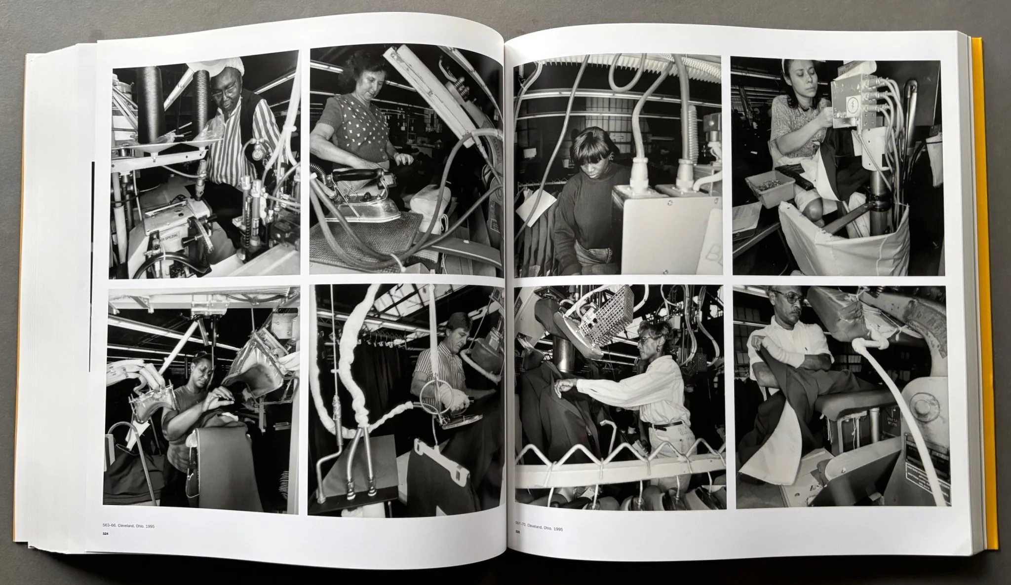 Friedlander - Image 5