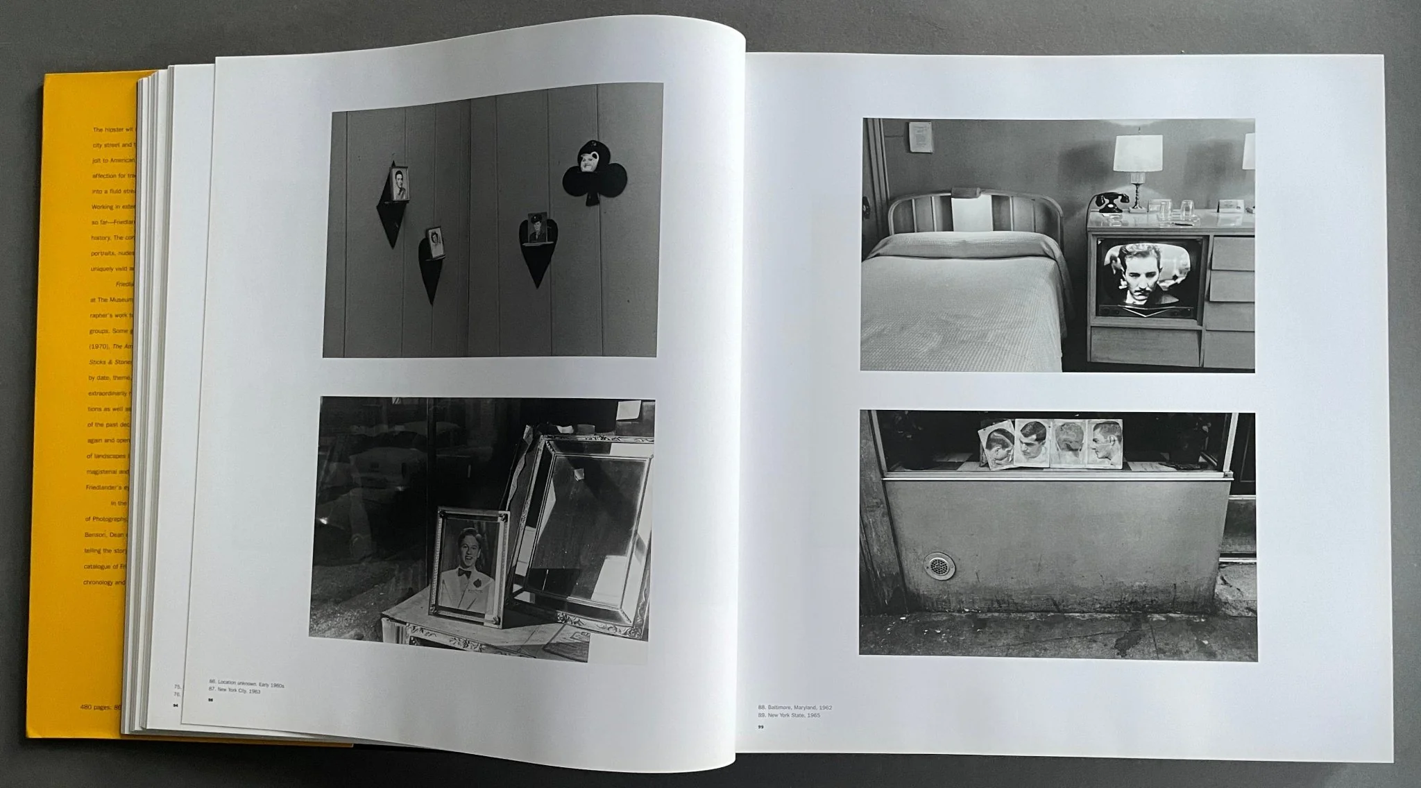 Friedlander - Image 4