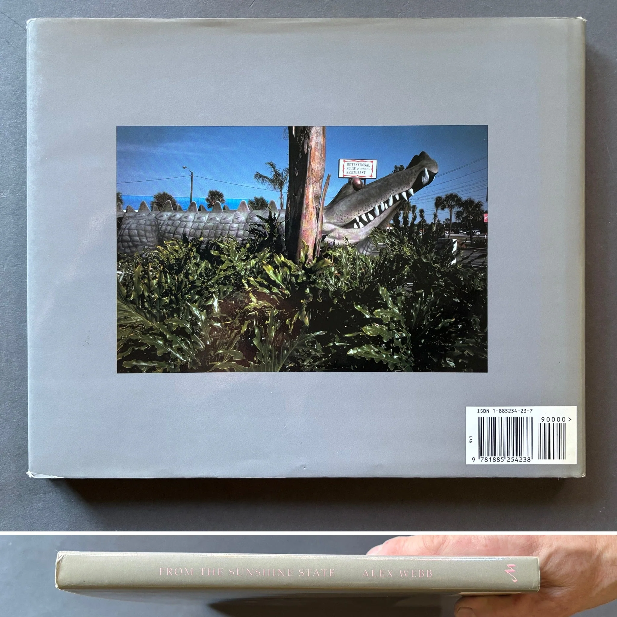 From the Sunshine State: Photographs of Florida - Image 8