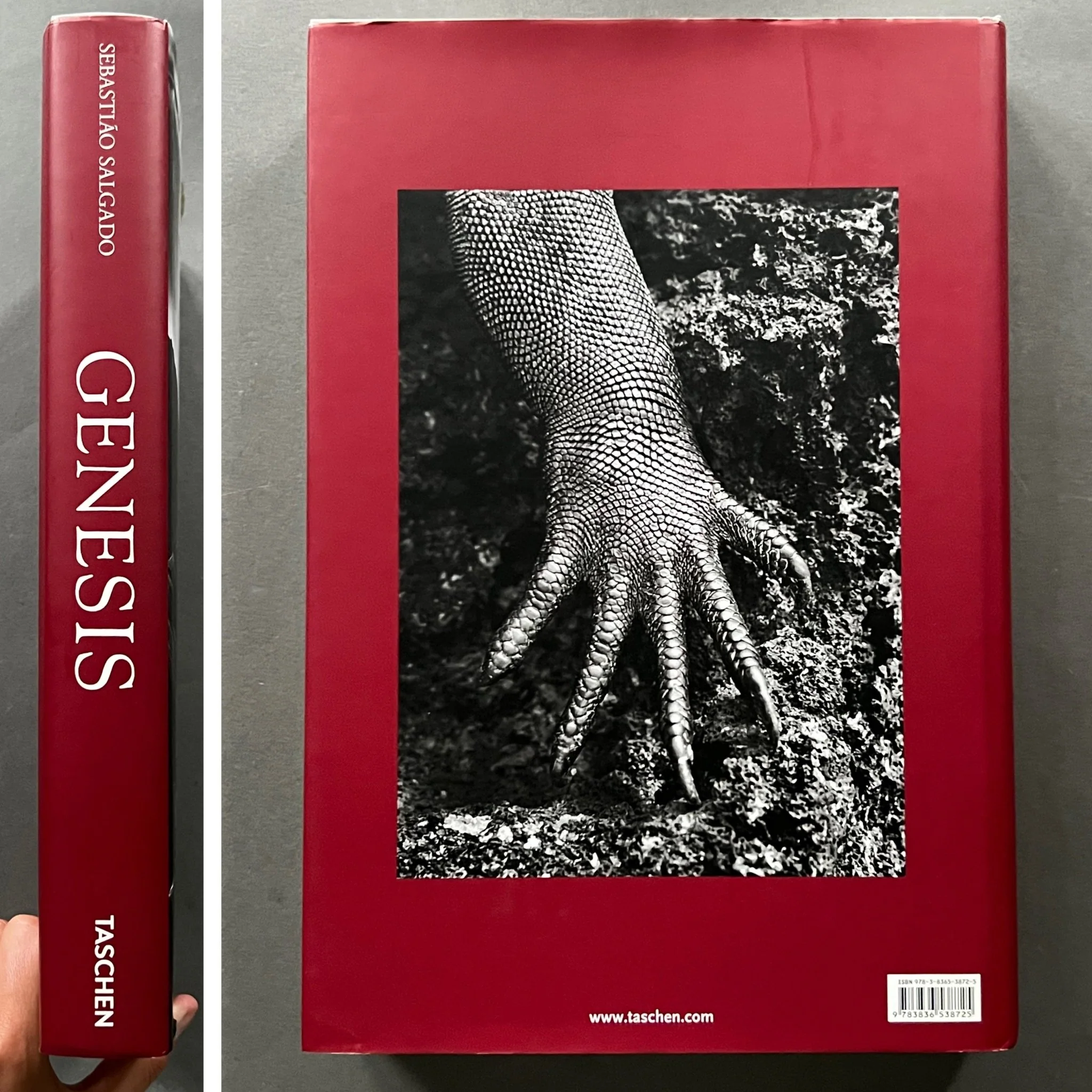 Genesis - Image 8