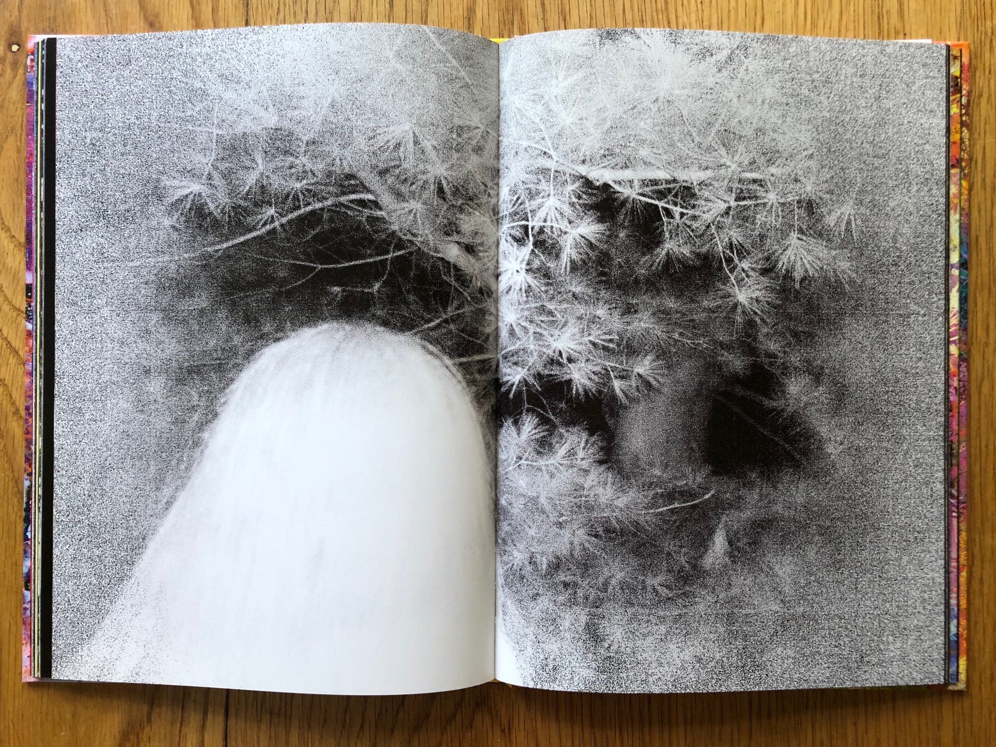 Ghosts are Real - Image 8