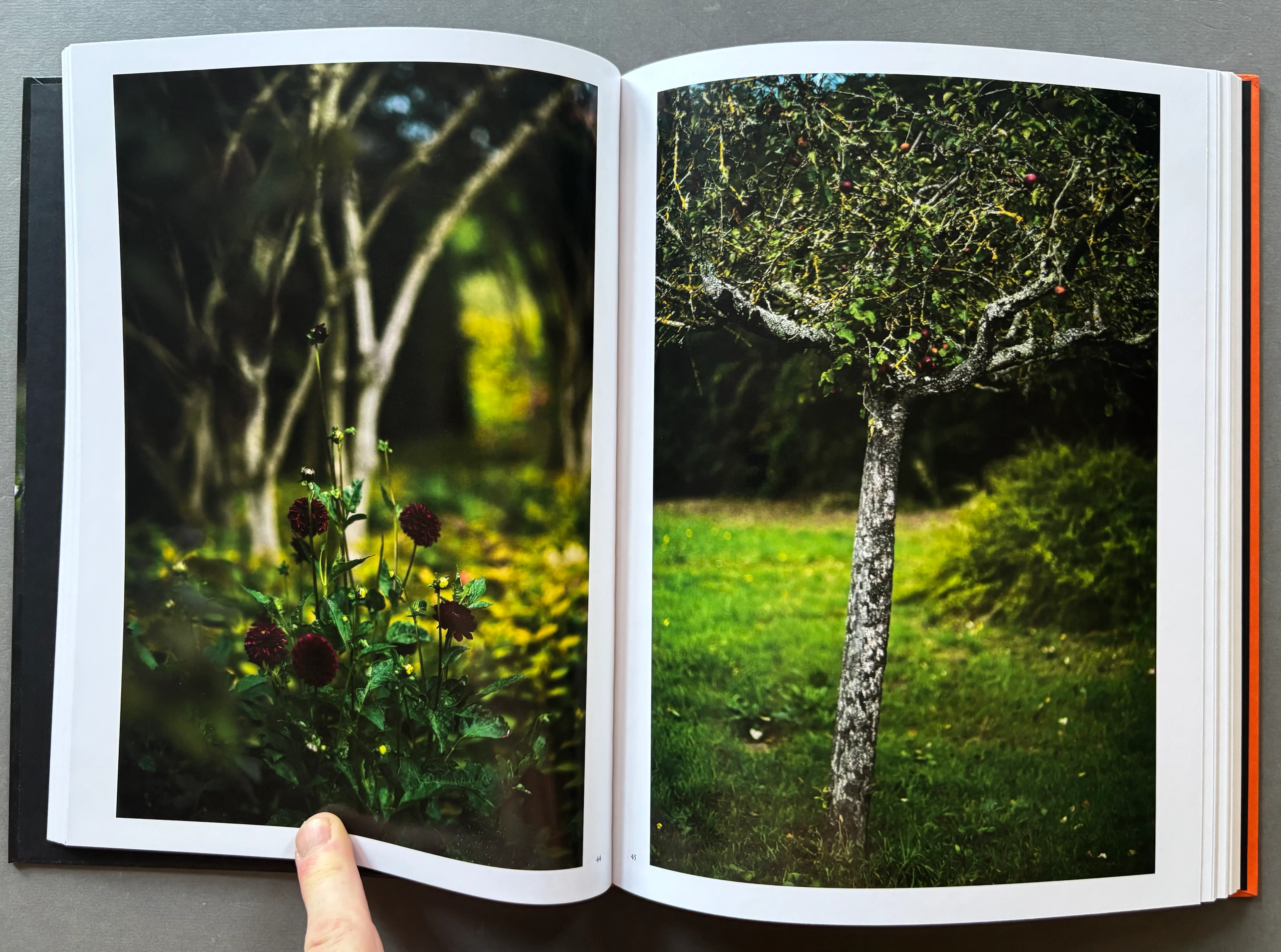 Giverny: A Year In The Garden - Image 3