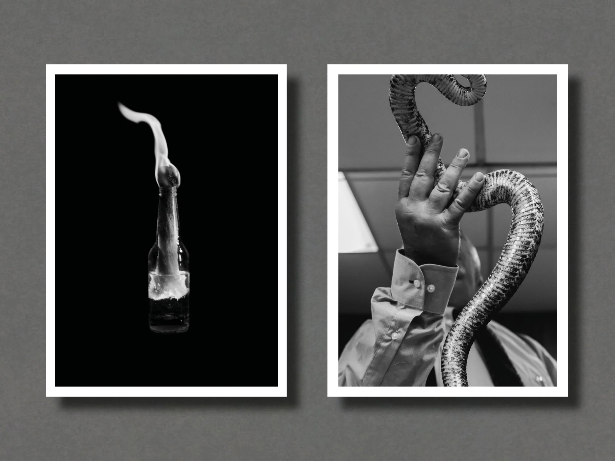 GLORYLAND - Special Edition - Image 4